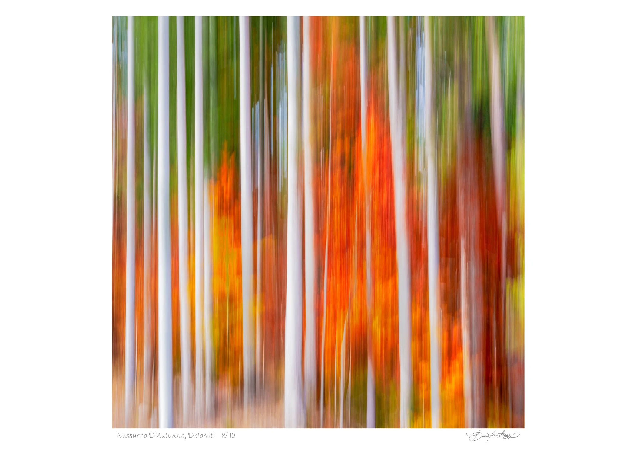 Diane Armstrong - Sussurro D'Autunno, Dolomiti, $750