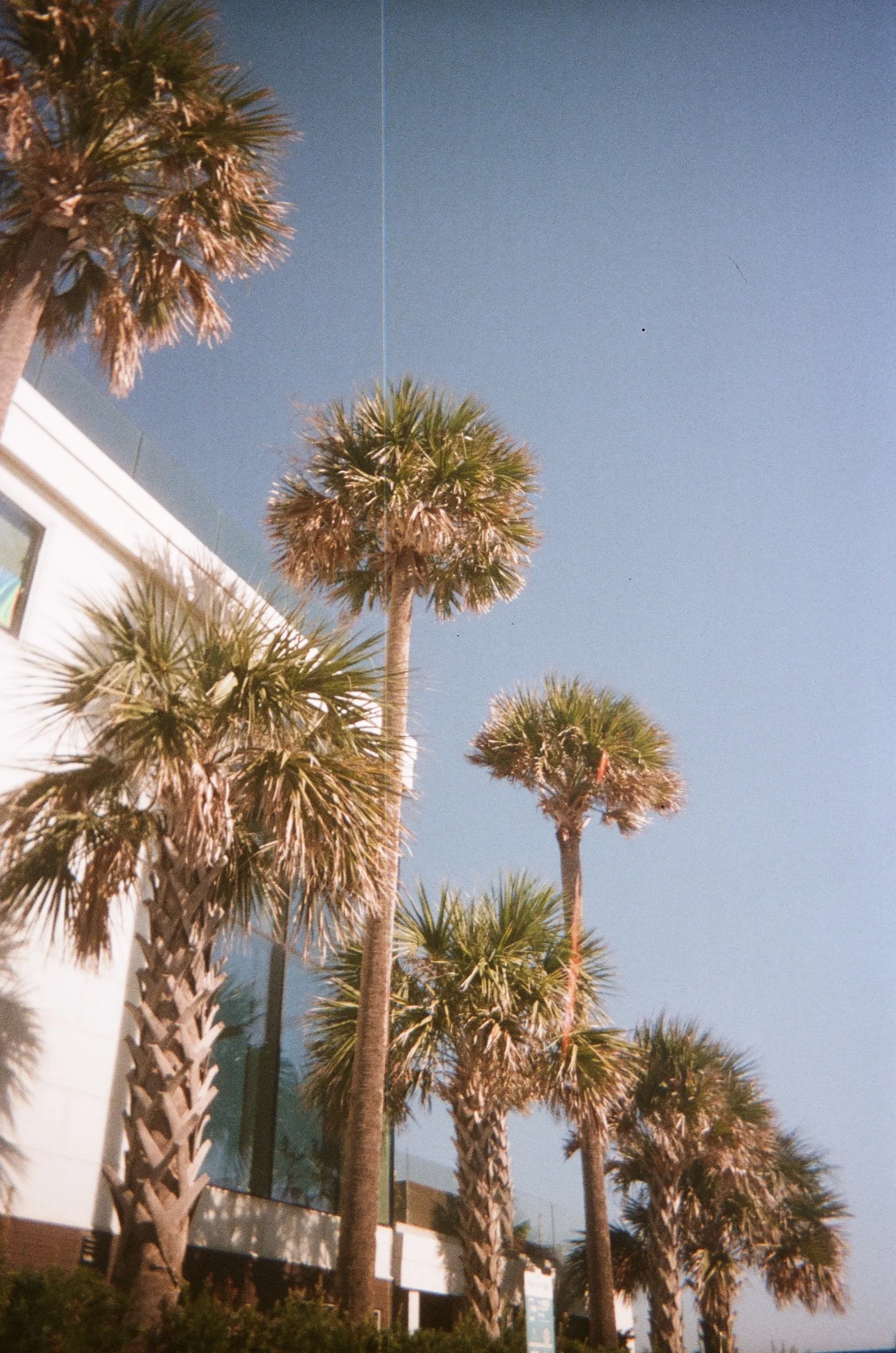 7232505C-A3EA-4DC0-83FC-6AE65E75334F.jpeg