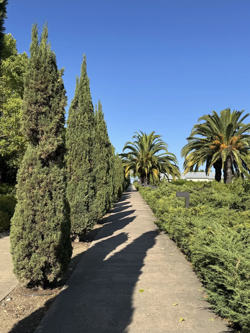 Walkway to Pool.jpeg