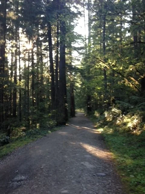Oregon Hike 8.jpg