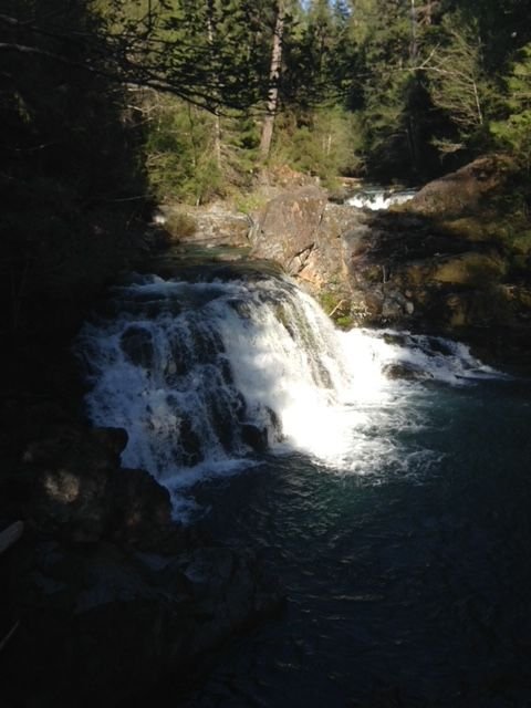 Oregon Hike 3.jpg