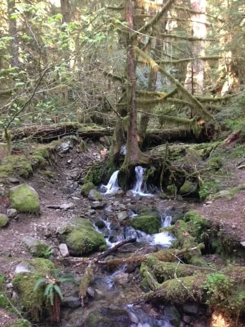 Oregon Hike.jpg