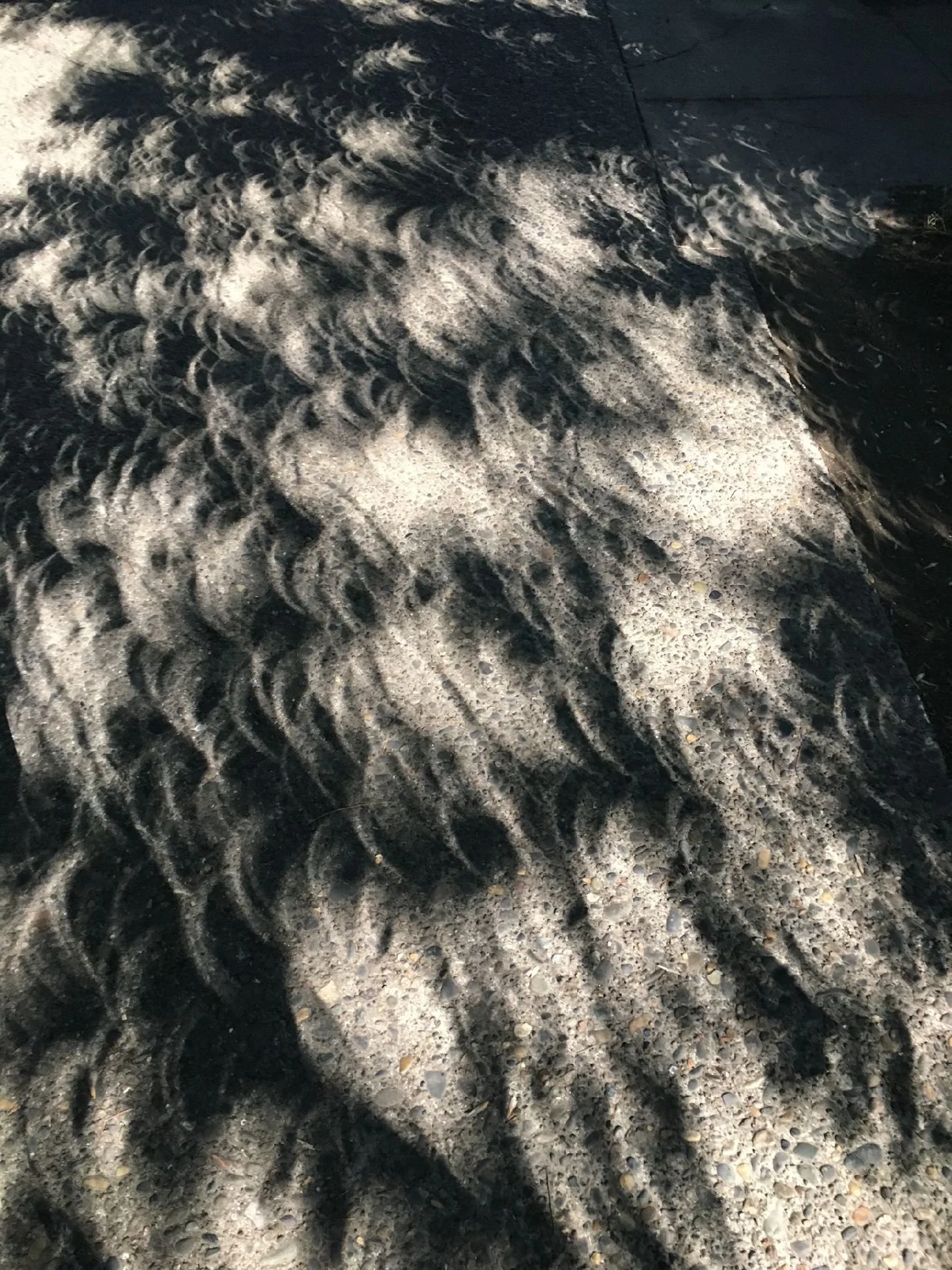 Eclipse on Senate.jpg