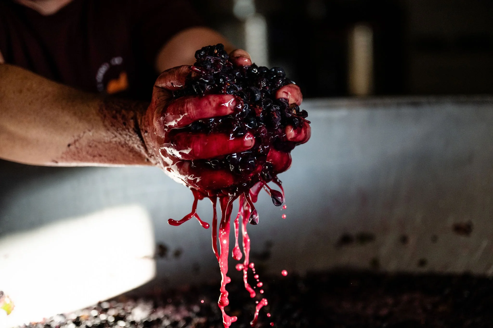 CanobolasWines-MAR-2025-MoniqueLovick-Photography-45.jpg