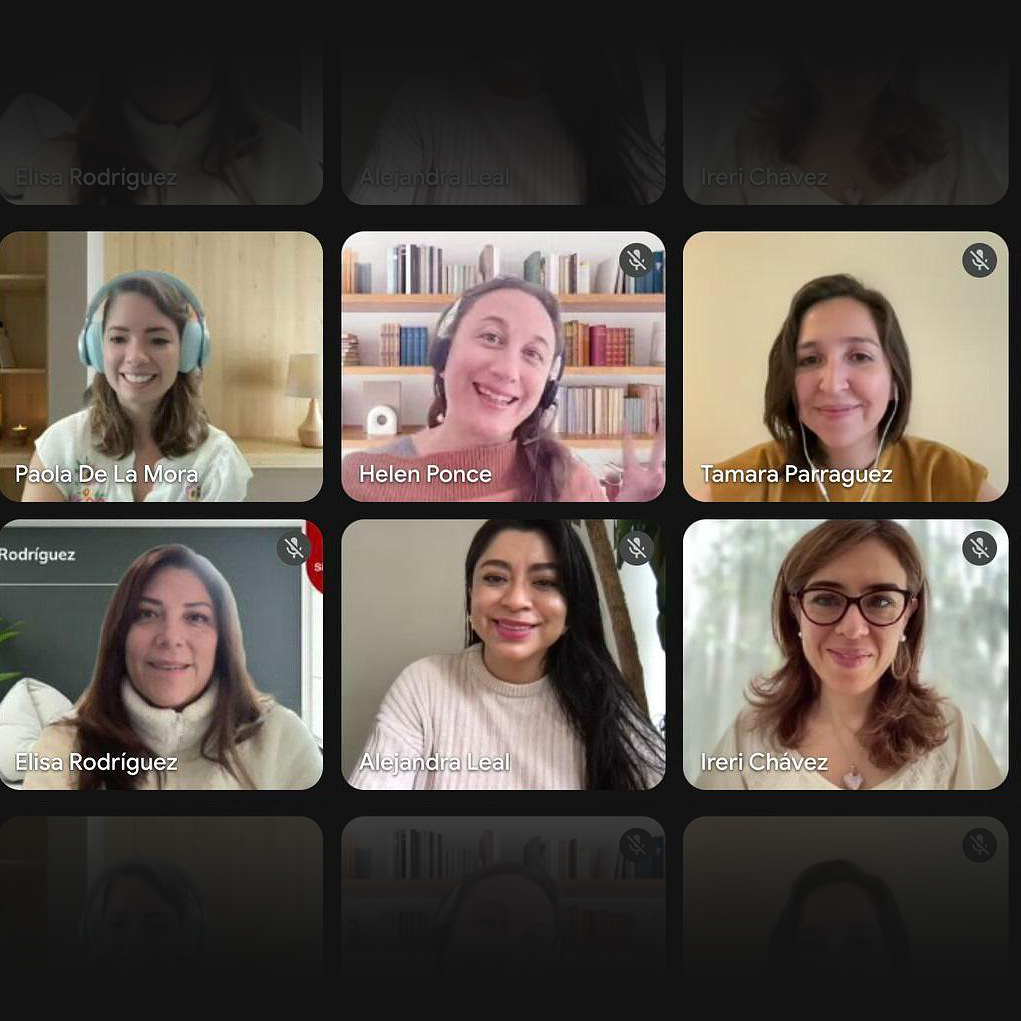 Videollamada de trabajo