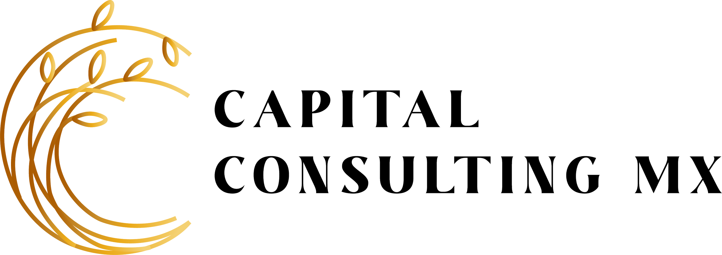 Capital Consulting.png