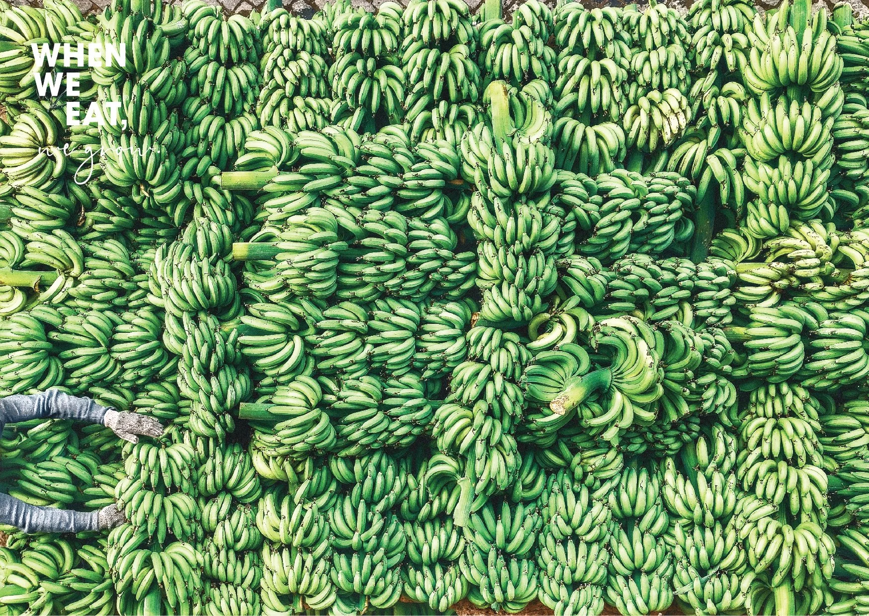 Postcard Market-03.jpg