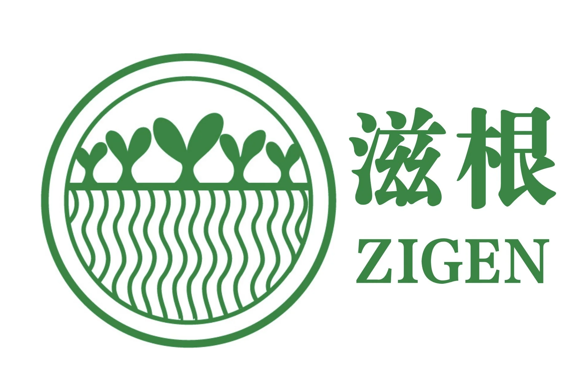 Zigen Fund - Wendy Zhang.jpeg