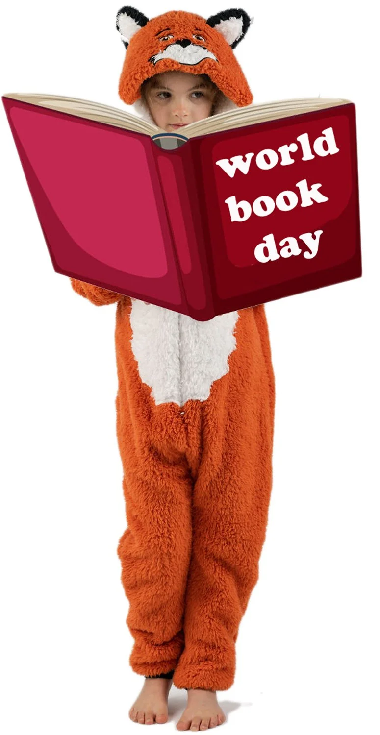 World Book Day Costumes in stock