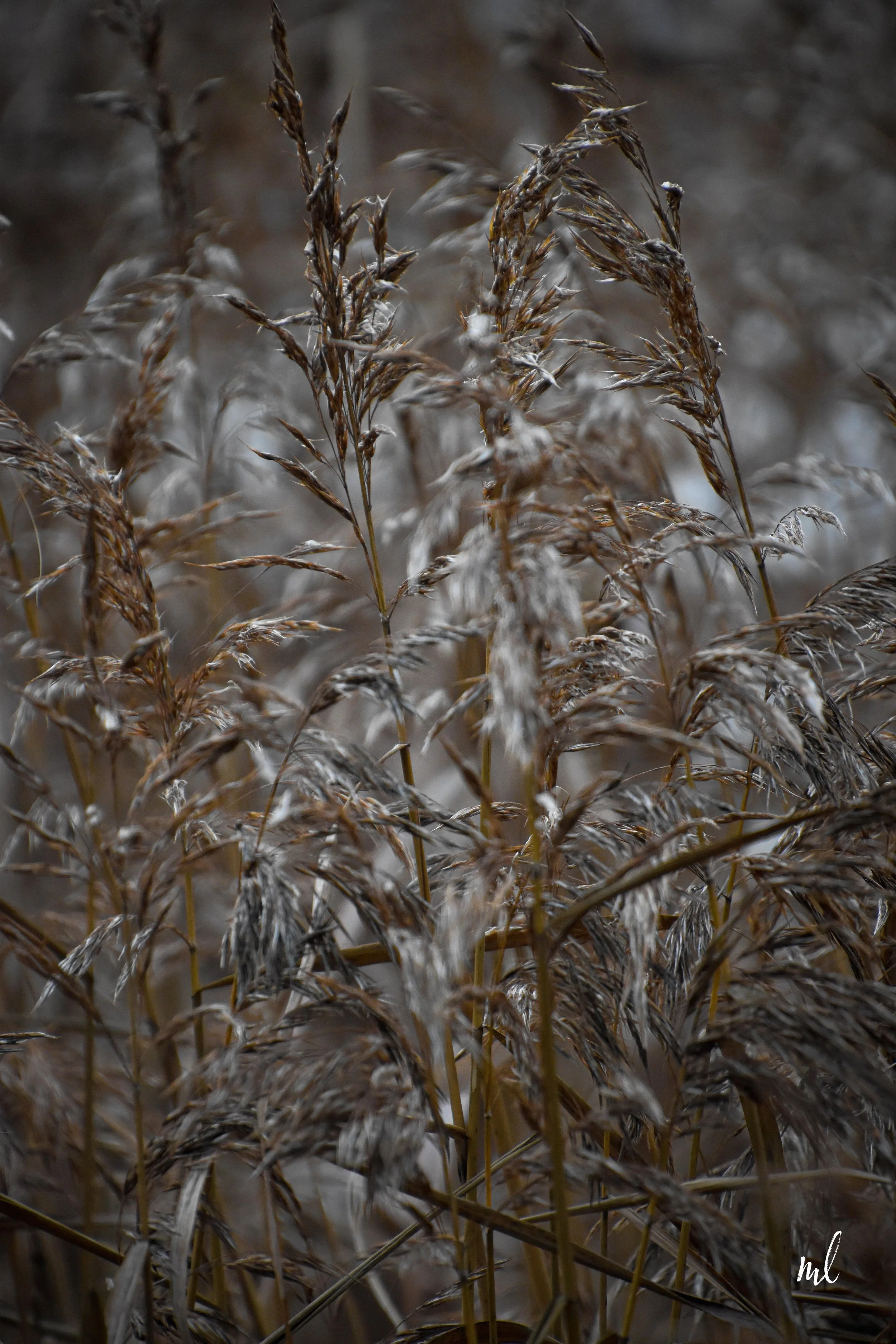 Tidig morgon…
