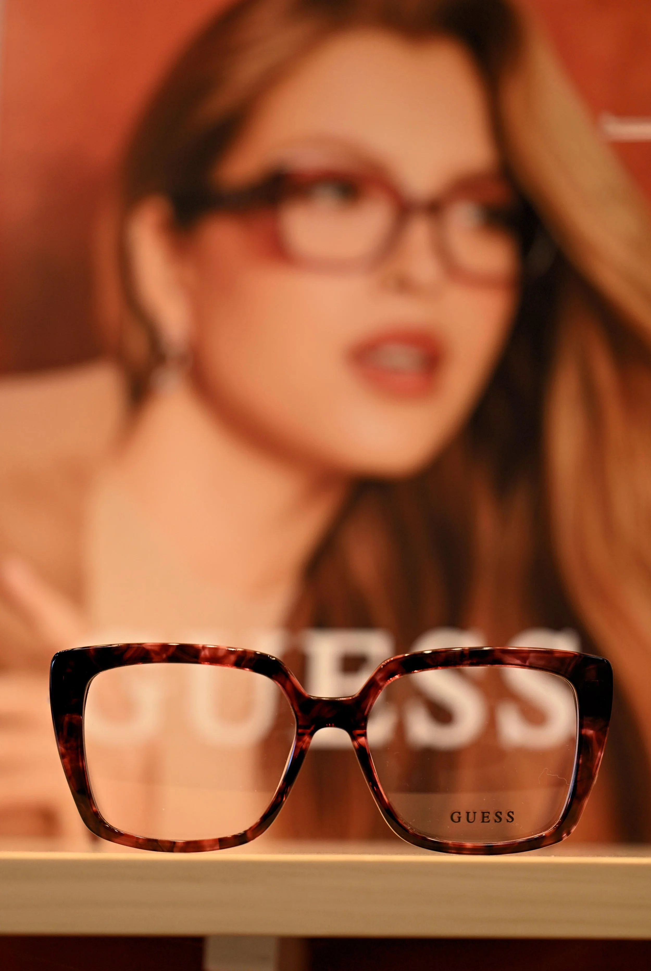 AODSC_3388Guess.jpg