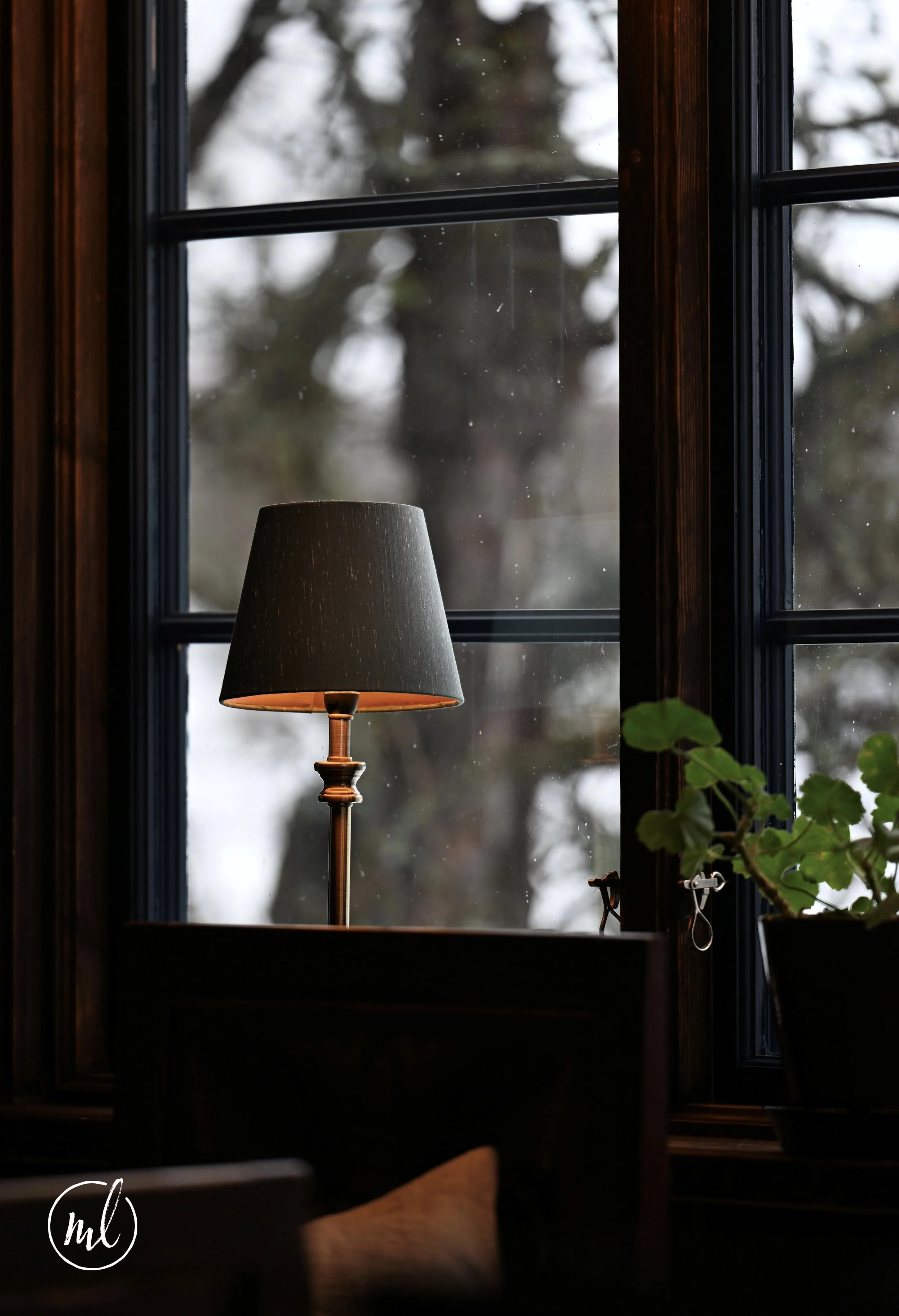 20260301_9142_rlogo 1.jpg