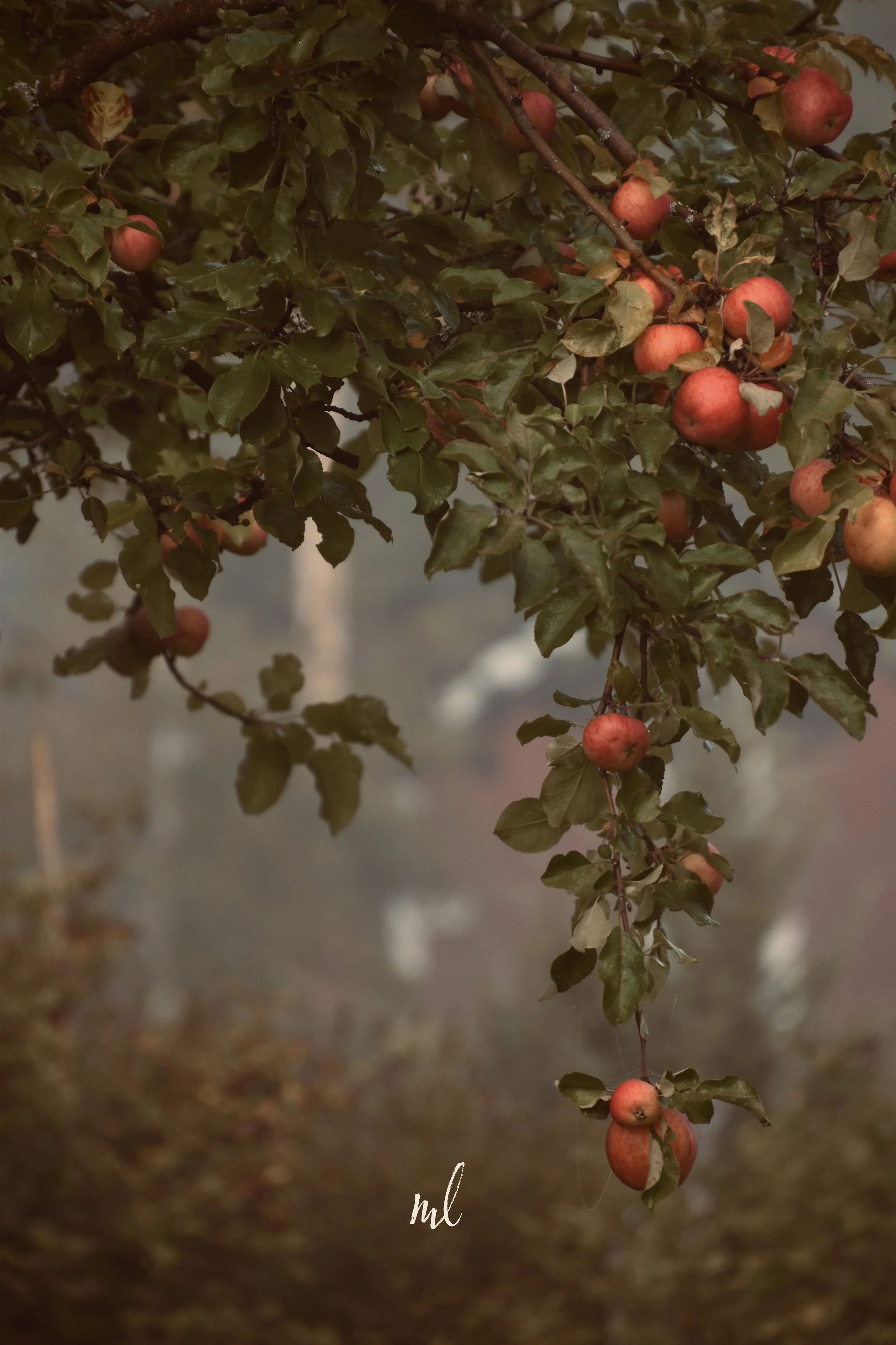 20240919_0929web 1.jpg