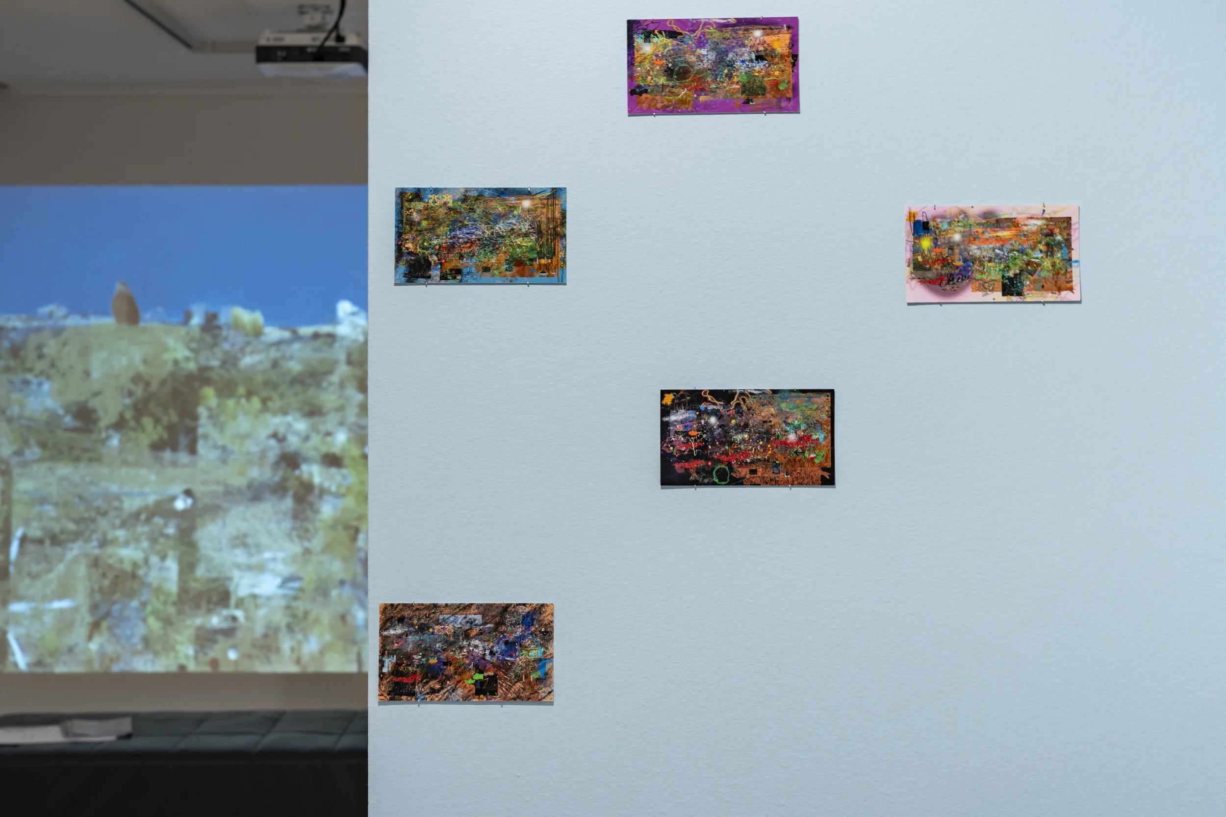Mountain no Mountain installation view. Photo: Louis Lim. Courtesy Redland Gallery