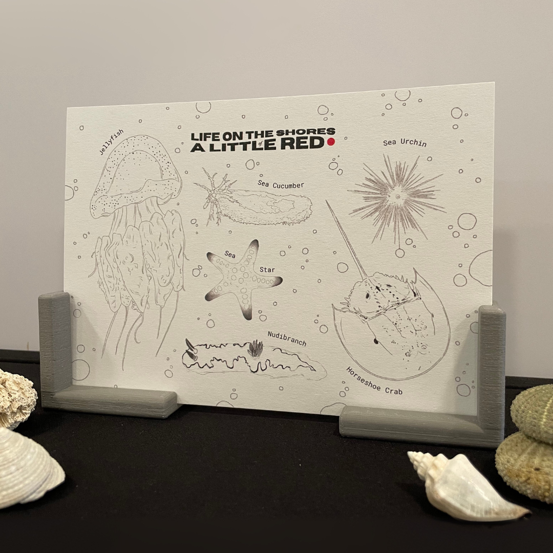 marine colouring card