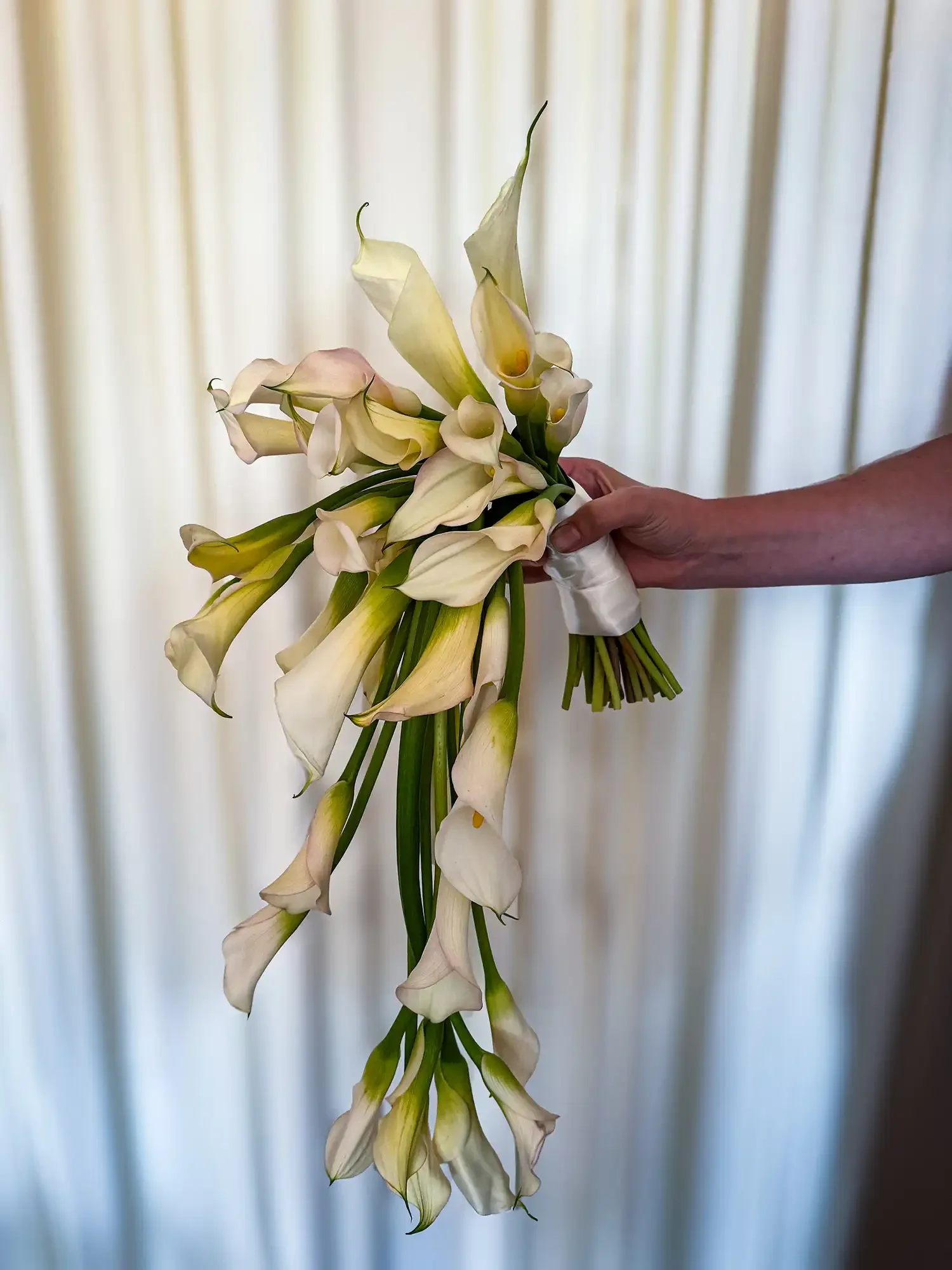 premium-wedding-designer.webp