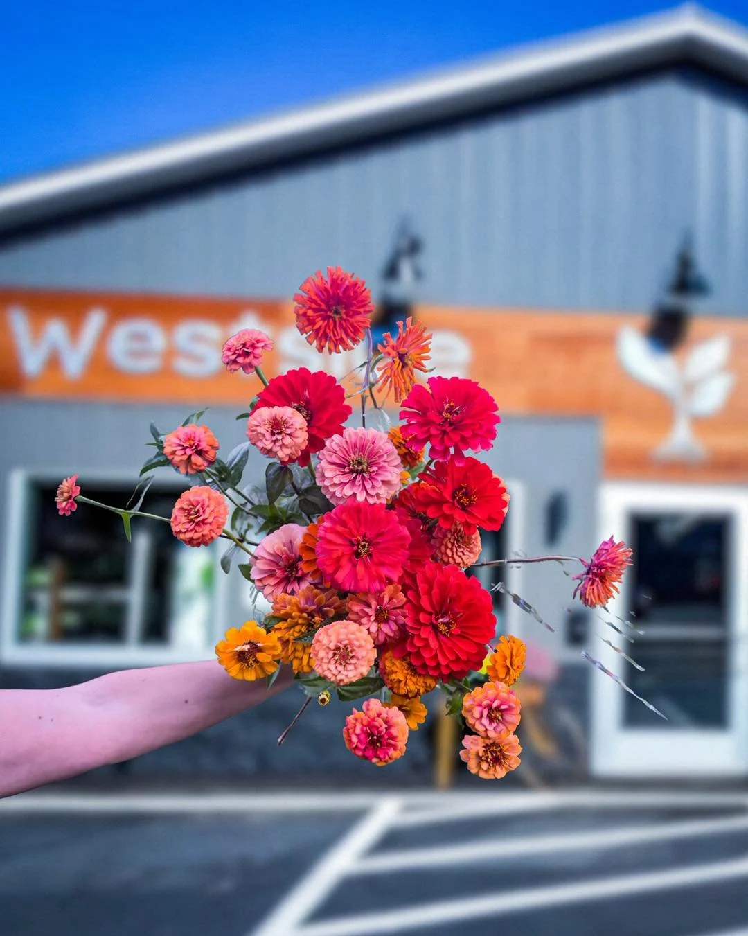 ‼️ We have some exciting news to announce soon! ‼️

There&rsquo;s a hint in the photo. 👀

#announcement #suprise #excitingnews #staytuned #flowerfarm #locallygrownflowers #csa