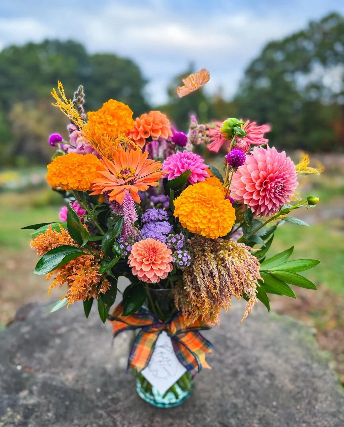 Autumn in flowers. ππ
#locallygrown #fallflowers #flowerfarm #specialorder #customorder #autumnblooms #localflowers #grown #arranged #shared