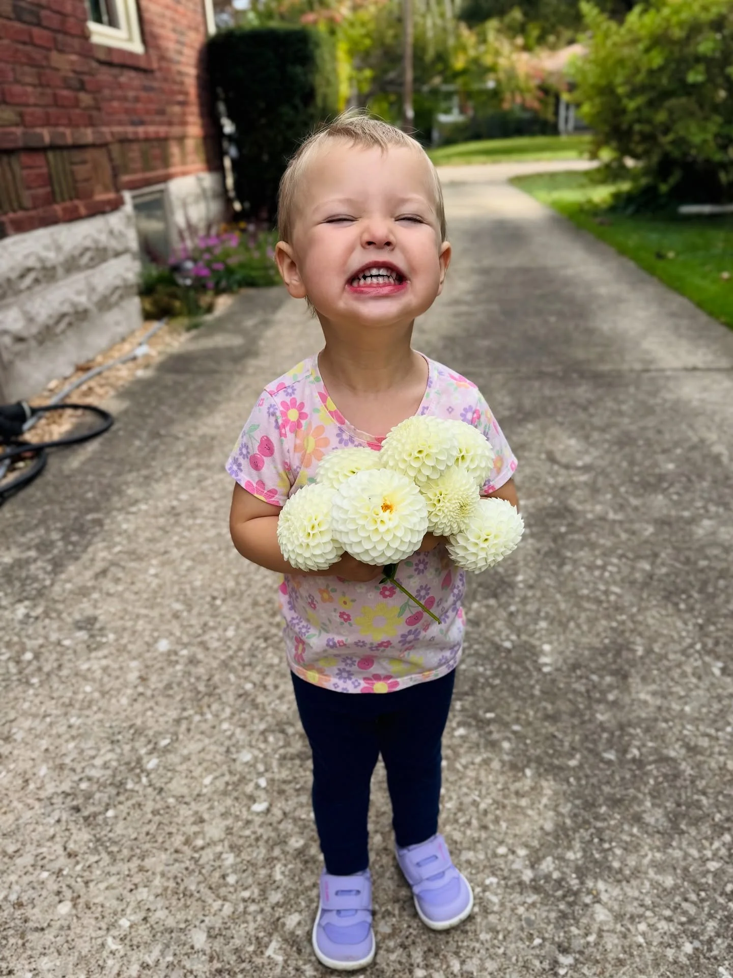 Nothing says ‘season’s end’ quite like a handful of dahlias and a smile this big πΈπ
Thank you all for an incredible year, we sold out to the very last bloom! The frost came right on cue, and with it, our cue to dream and plan for