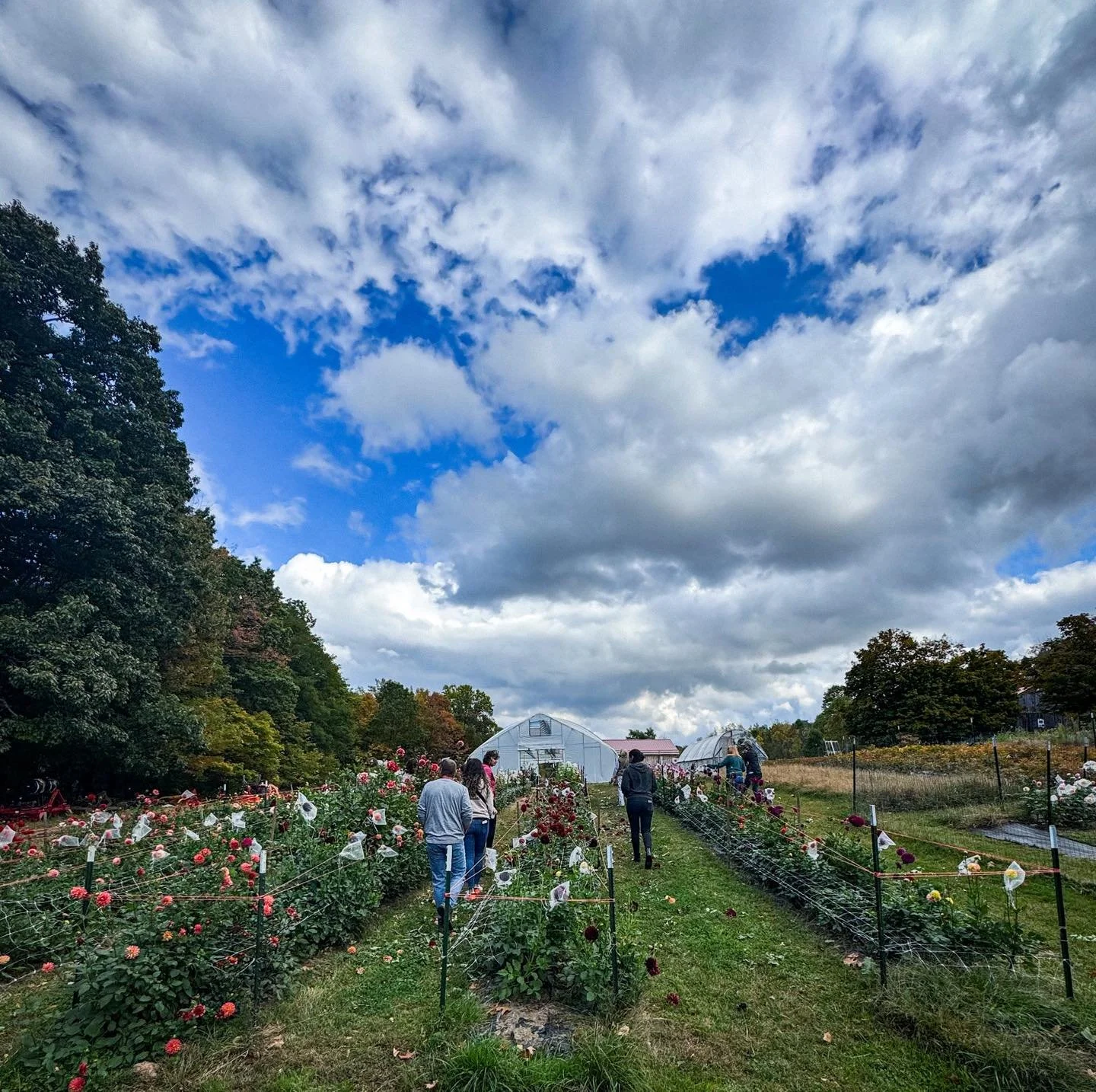 We&rsquo;ve talked about doing a farm tour for a while, waiting for the &ldquo;perfect&rdquo; time - when the weeds were gone, the beds were straight, and everything looked photo-ready. But this year, we finally realized something: perfect never real
