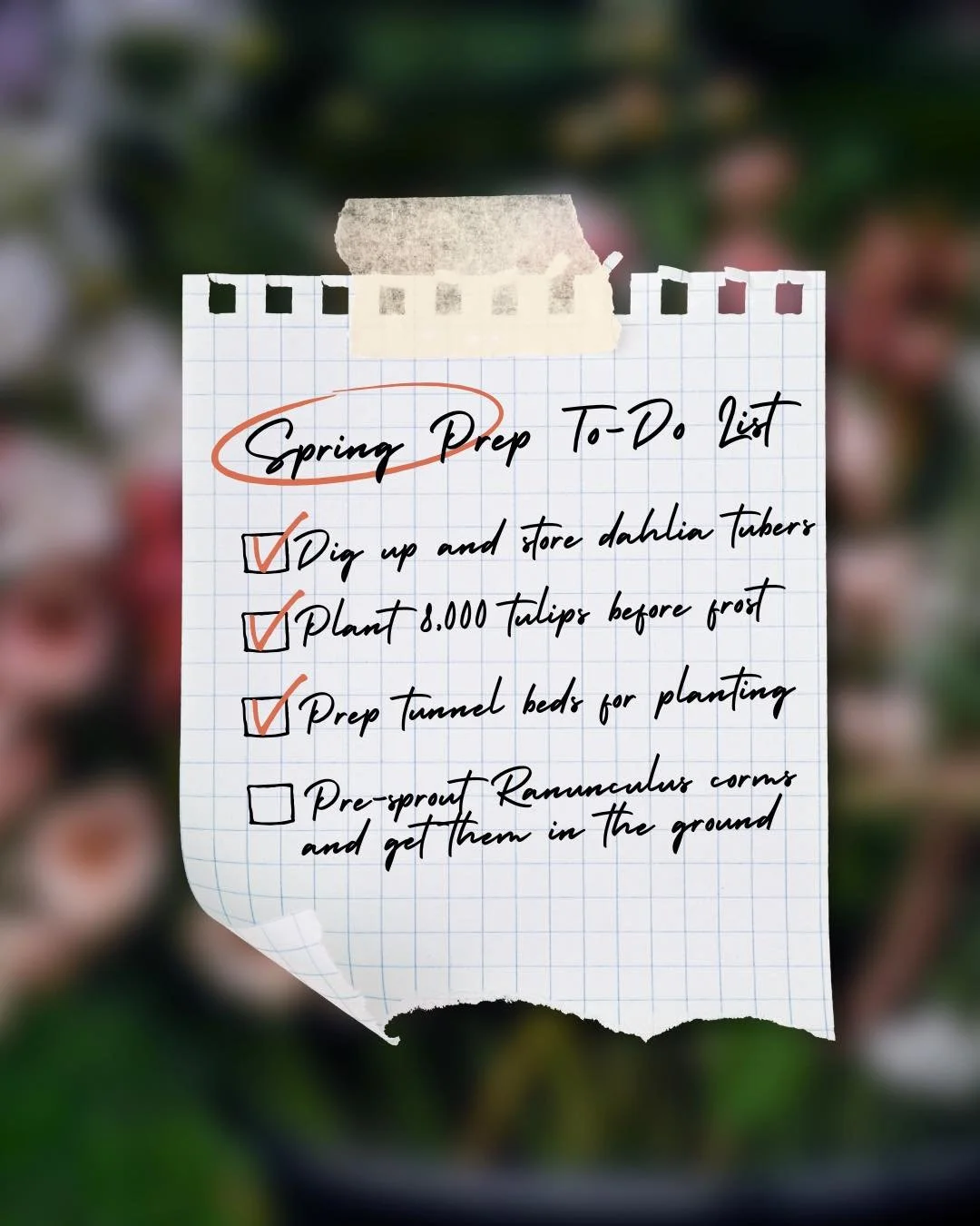 Things might look like they&rsquo;re slowing down around here, but that&rsquo;s never truly the case. 🌱

Fall is when we quietly start laying the groundwork for next year&rsquo;s adventures. We&rsquo;ve wrapped up some of the biggest jobs of the sea