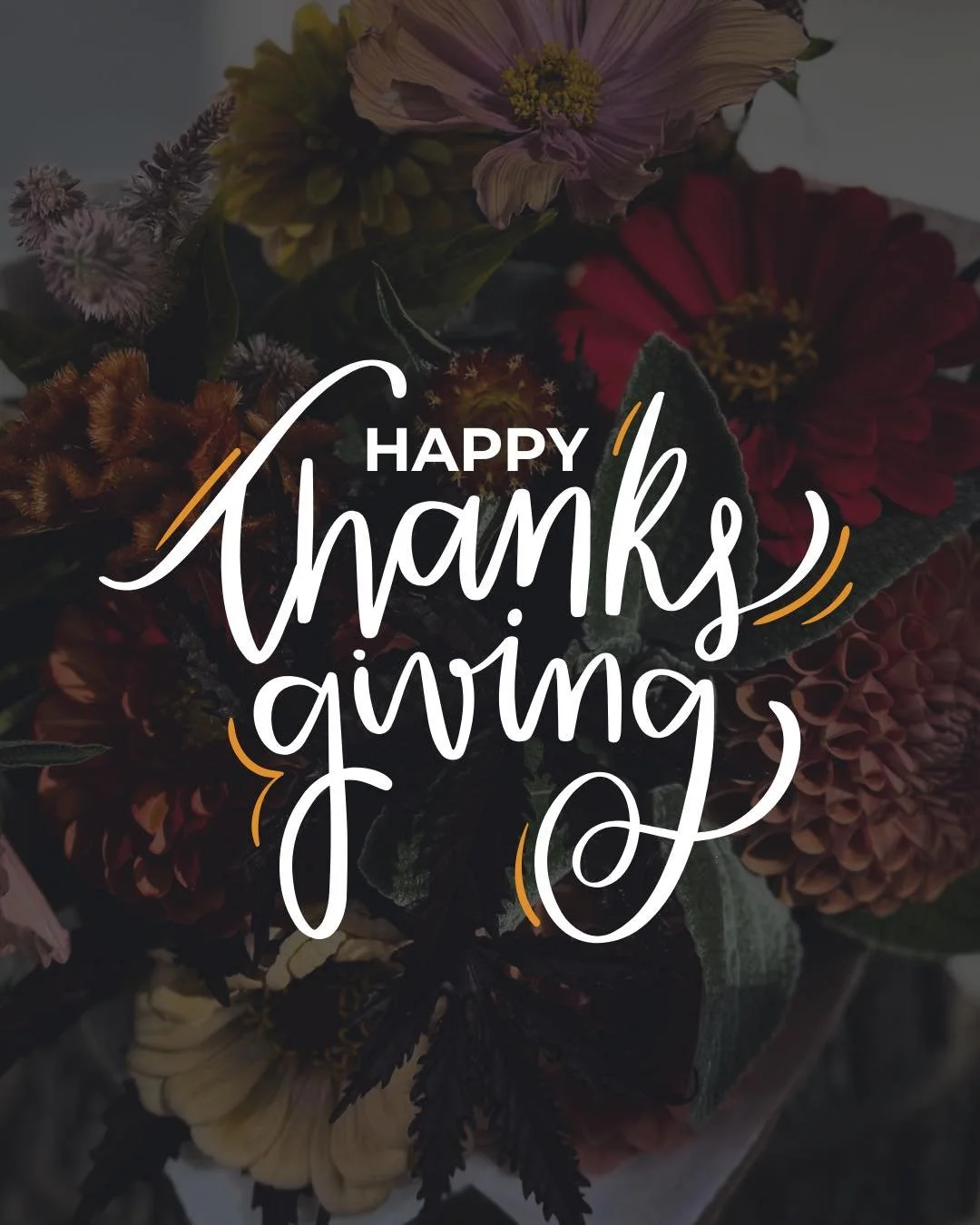 Happy Thanksgiving! 🧡

As things have slowed down and we&rsquo;ve been able to catch our breath, we&rsquo;re feeling an overwhelming amount of gratitude. To every single person who has ever visited The Studio, bought anything from us, shared a post,