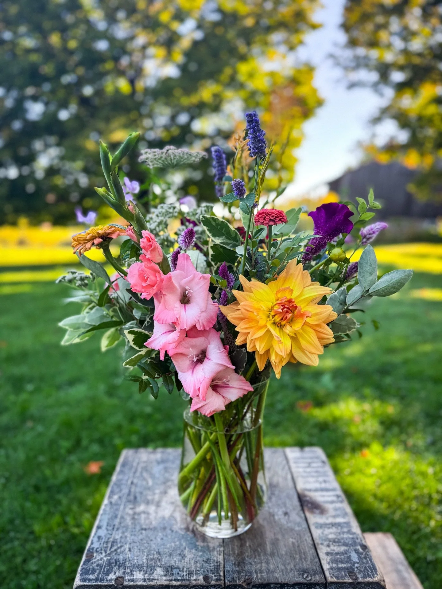 This past year we&rsquo;ve tried to document as much of our season as possible, but let&rsquo;s just say things were hectic more often than not, and it was a full-time job just keeping up with our social media presence, so lots of photos were never s