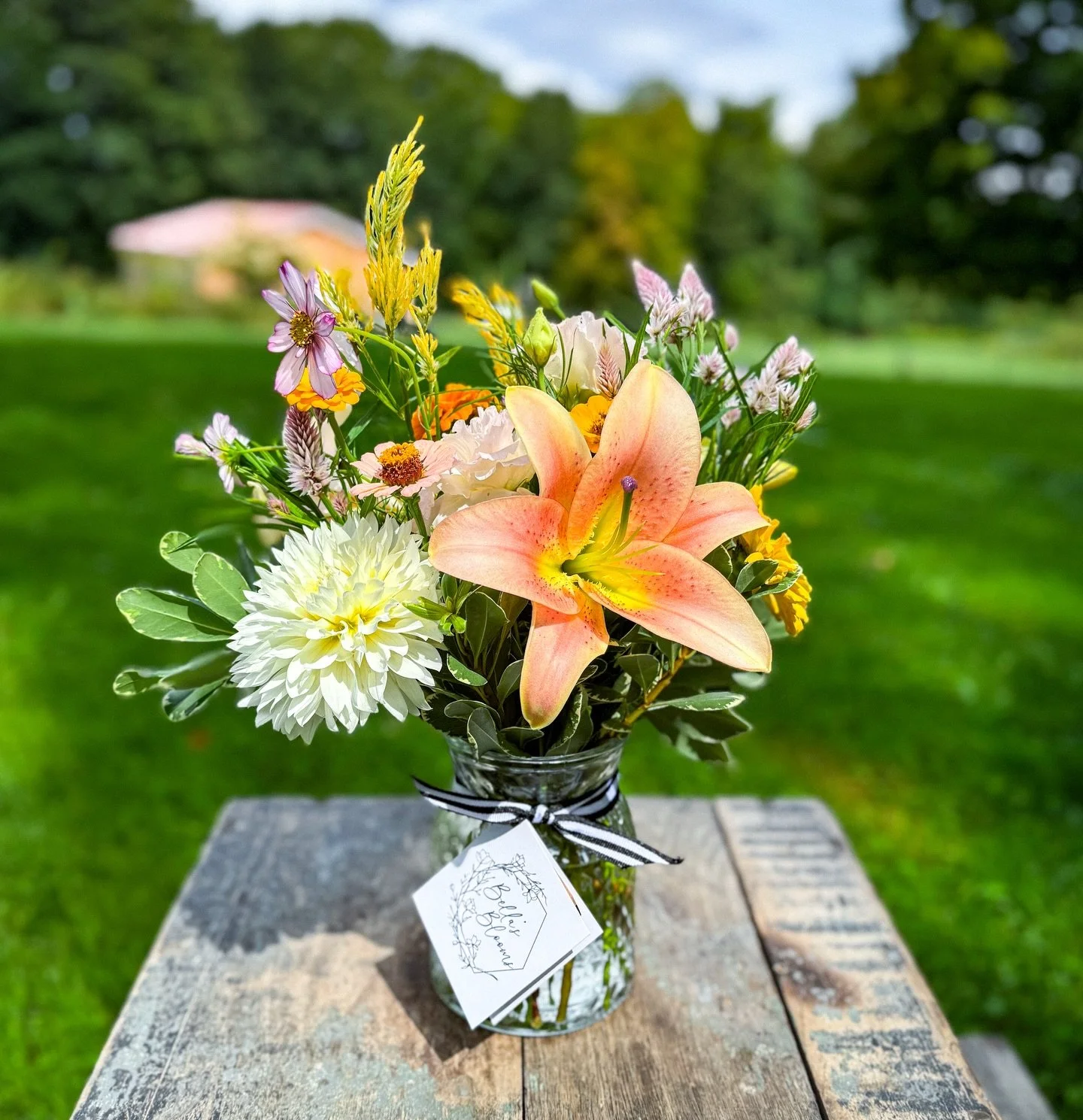 📷 from our camera roll: august

lily | dahlia | lisianthus | zinnia | celosia | cosmos

#flowerfarmerflorist #locallygrownflowers #specialtycutflowers #summerblooms