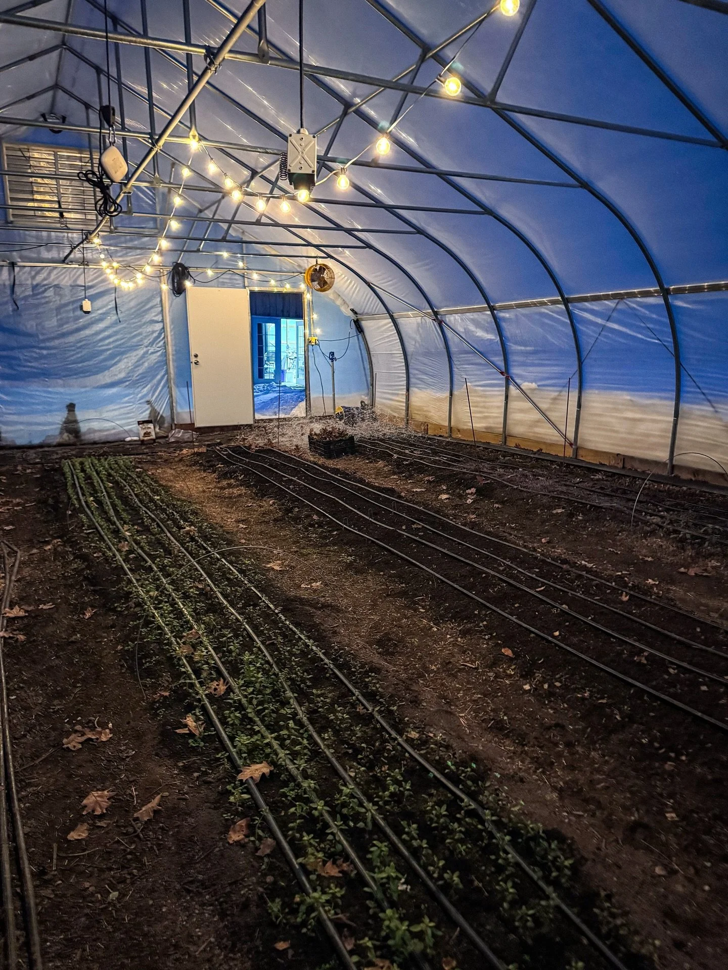 The winter weather has returned quickly, but there&rsquo;s still work to be done here to get ready for spring. 🥶🌞

These spaces will be filled with spring flowers soon, but for now we&rsquo;re doing our best to live in the present moment, taking in