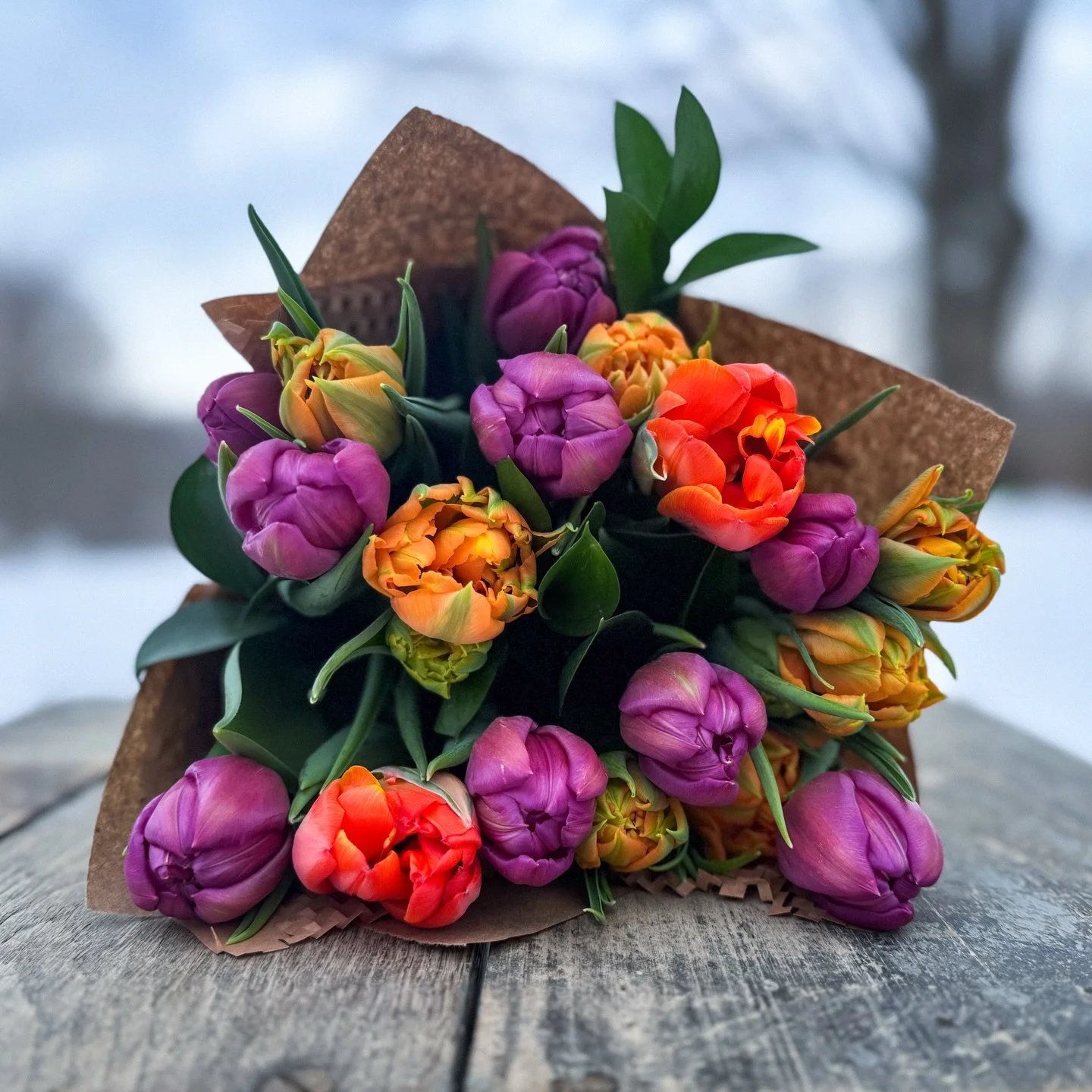 A hint of Spring during the toughest part of winter in Erie. 💐

We just wrapped up the 5th and final week of our very first Winter Tulip CSA and it feels like a milestone worth pausing for.

Five weeks of locally grown, hydroponic double tulips. Gro