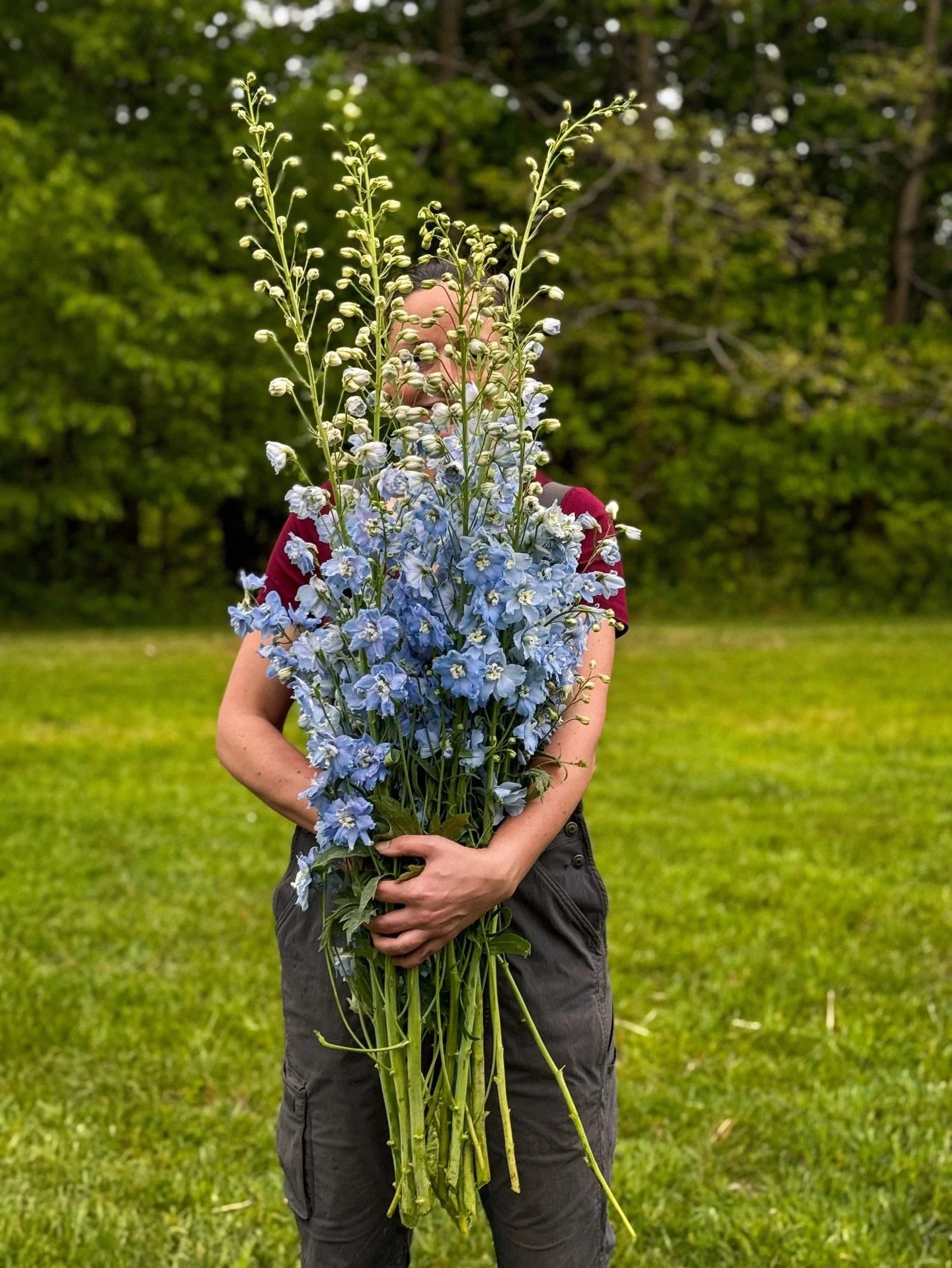 📷 from our camera roll: may

blue delphinium

#springflowers #springiscoming #yourfavoriteflorist #locallygrownflowers #cameraroll