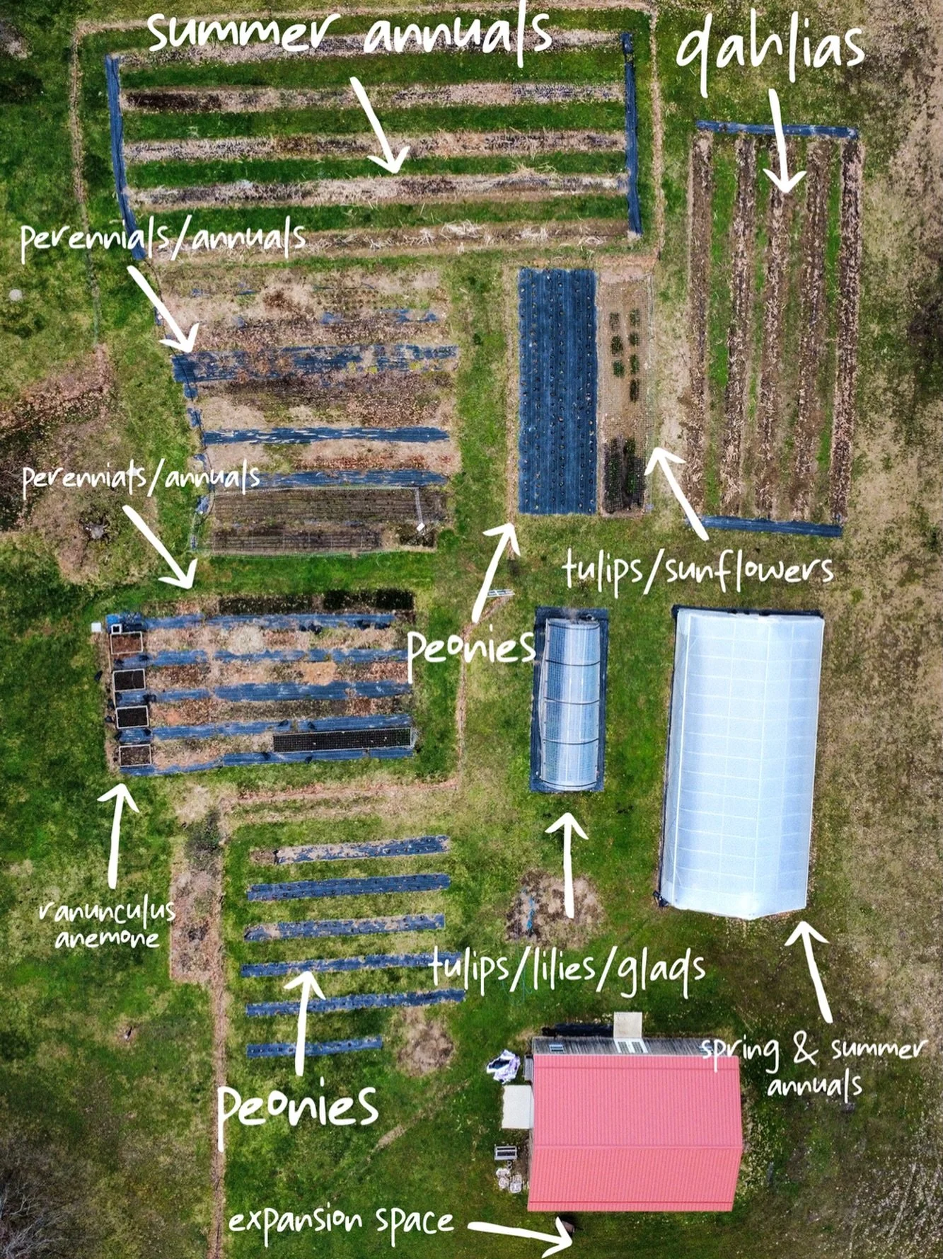 We don&rsquo;t talk about this part enough.

Everyone sees the flowers - the bouquets, weddings, buckets at The Studio. But behind all of that is this:

A field map that holds an entire season together.

Every section has a plan. What&rsquo;s going w