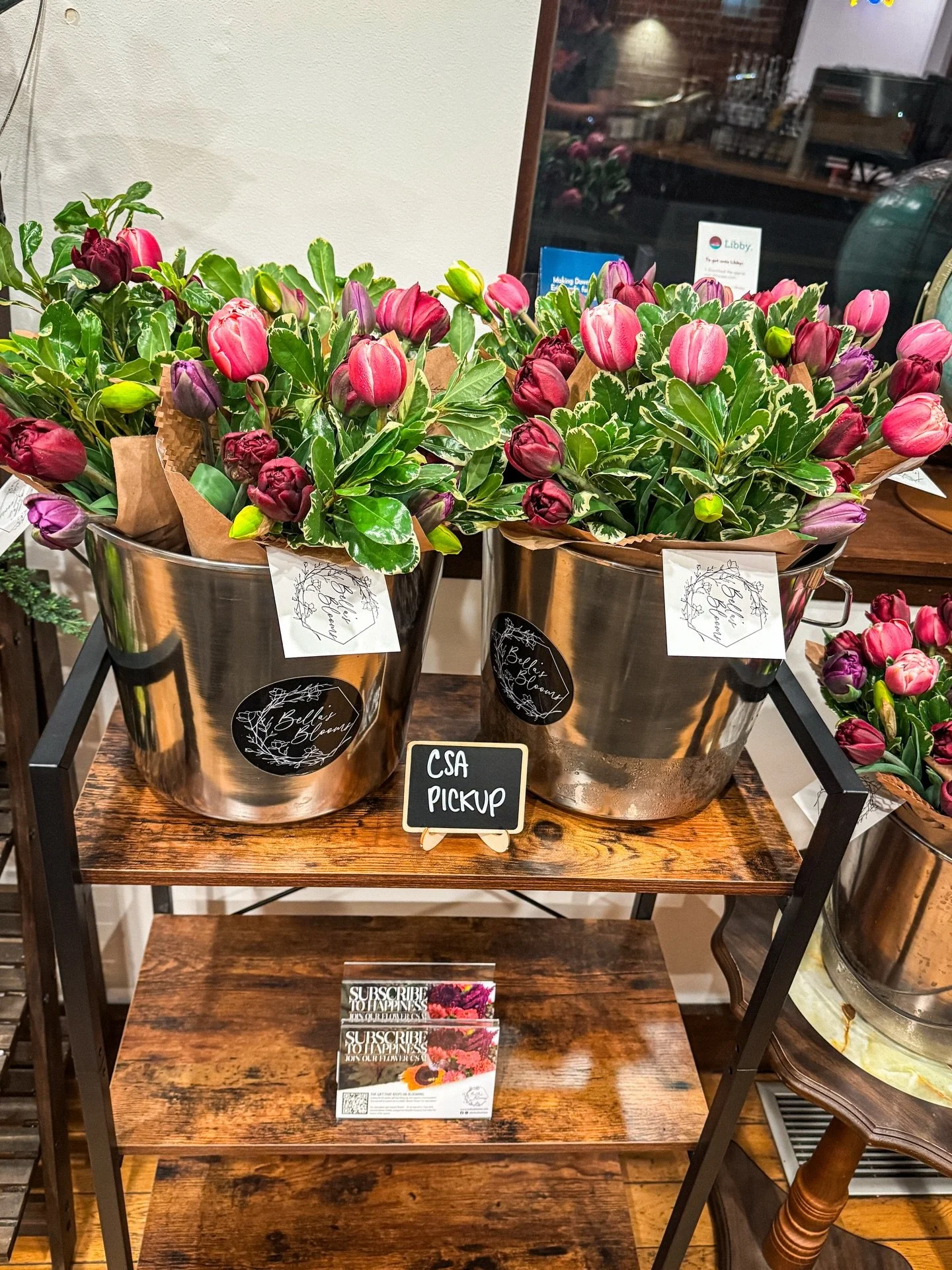 The tulips didn&rsquo;t get the memo about the calendar.🌷 

These summer-like temps have them moving fast - faster than we planned.

The Studio might be opening its doors sooner than expected. Stay tuned. 👀

#springflowers #tulipsofinstagram #local