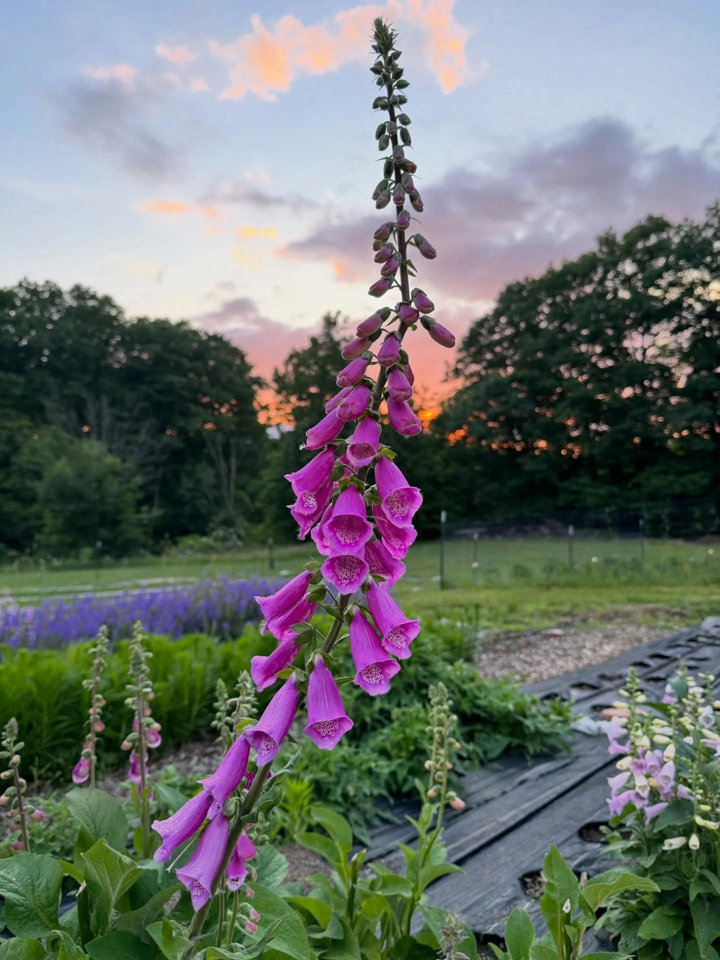 Woke up this Earth Day to headlines full of wildfires and floods. It&rsquo;s become a routine thing, watching major weather events roll across the country and the world, and it&rsquo;s hard not to feel the weight of it.

Here in our little corner of 