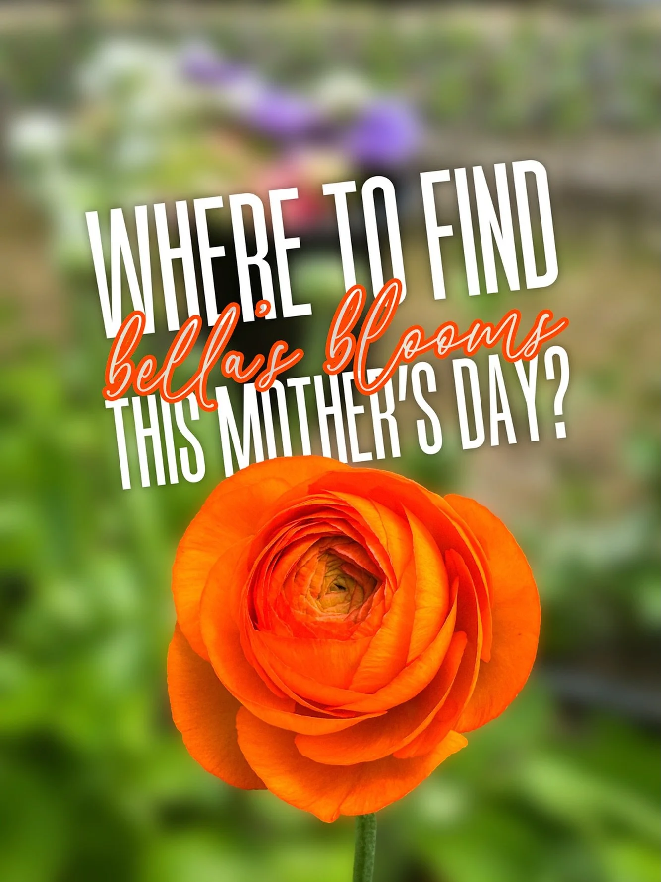 It&rsquo;s hard to believe, but another Mother&rsquo;s Day weekend is just around the corner, and we&rsquo;re here to help you celebrate! This is one of our busiest weeks of the entire year, and we&rsquo;ll be spreading flower love all over the place