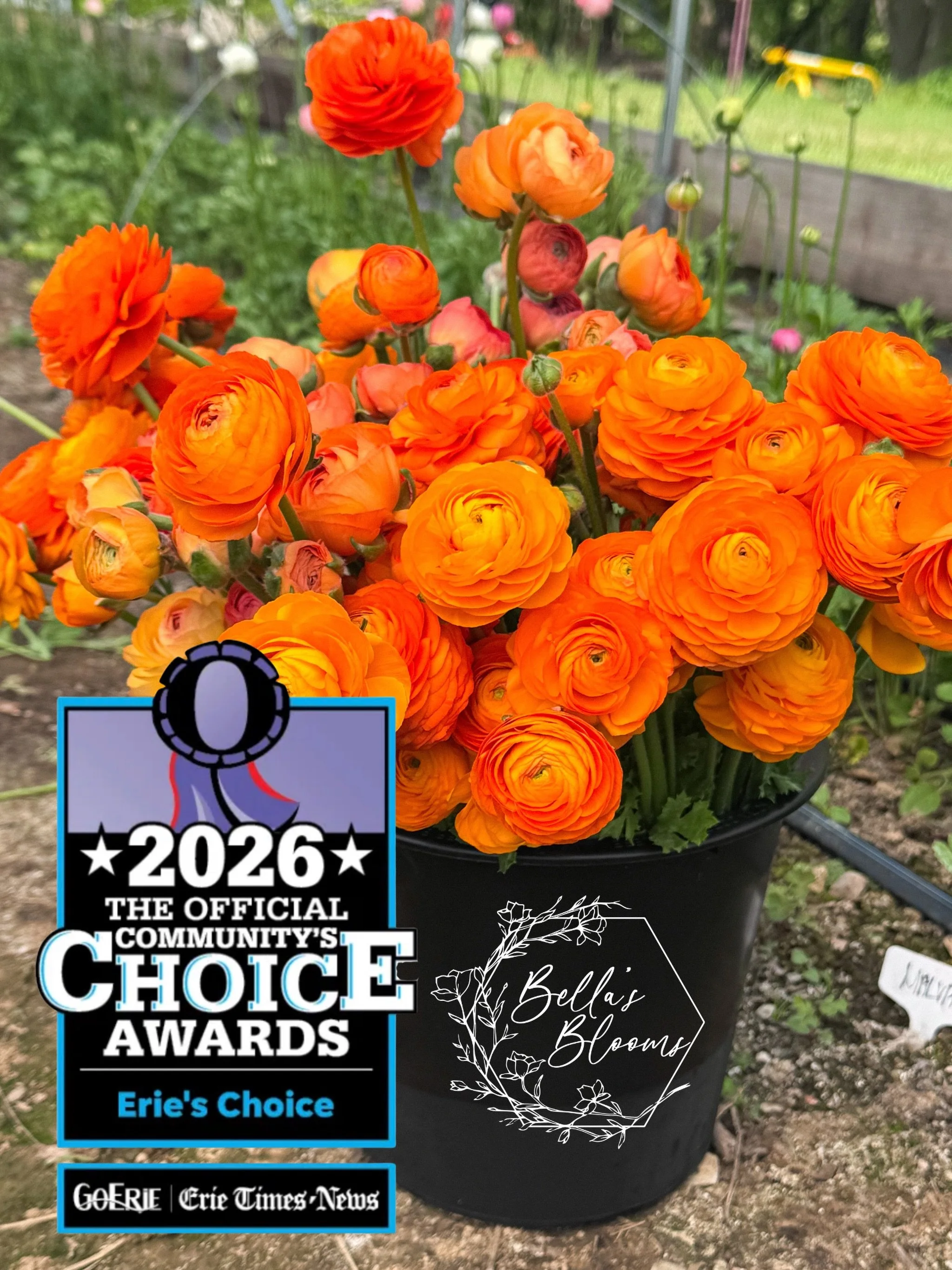 Whatever happens with this, we already feel pretty lucky. But, there&rsquo;s a small way you could make our week! 🌸

The 2026 @goeriecom Community Choice Awards are taking nominations for Erie&rsquo;s best businesses, and we&rsquo;d love to be consi