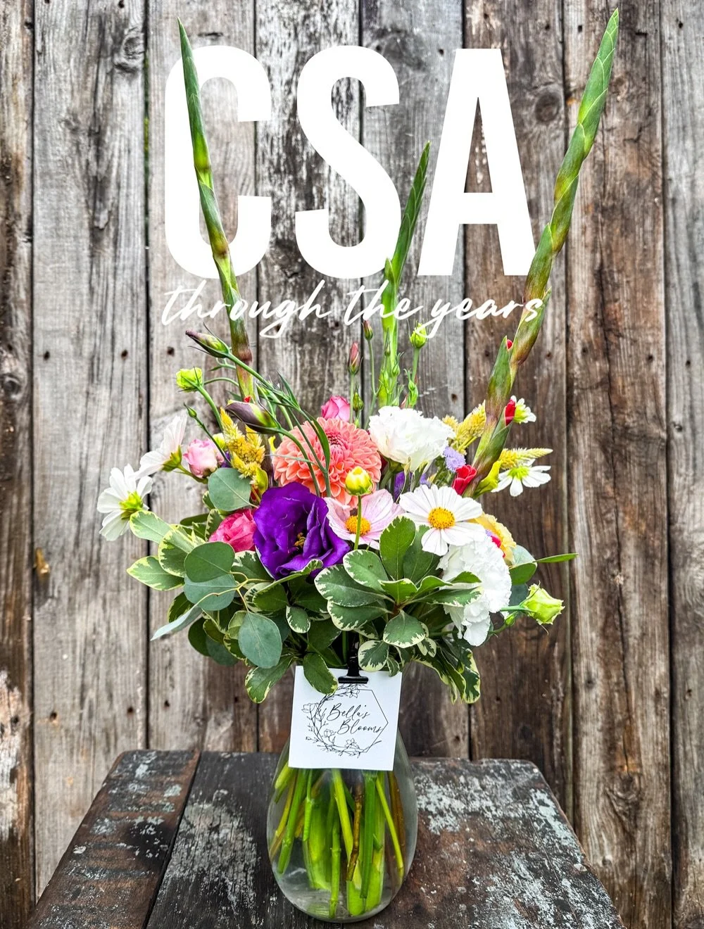 Without our CSA, there might not be a Bella&rsquo;s Blooms. 💐 

Back in 2022, this started as a flower subscription for a handful of friends willing to support a dream I had.

Turns out, the dream became much bigger.

It didn&rsquo;t take long to re