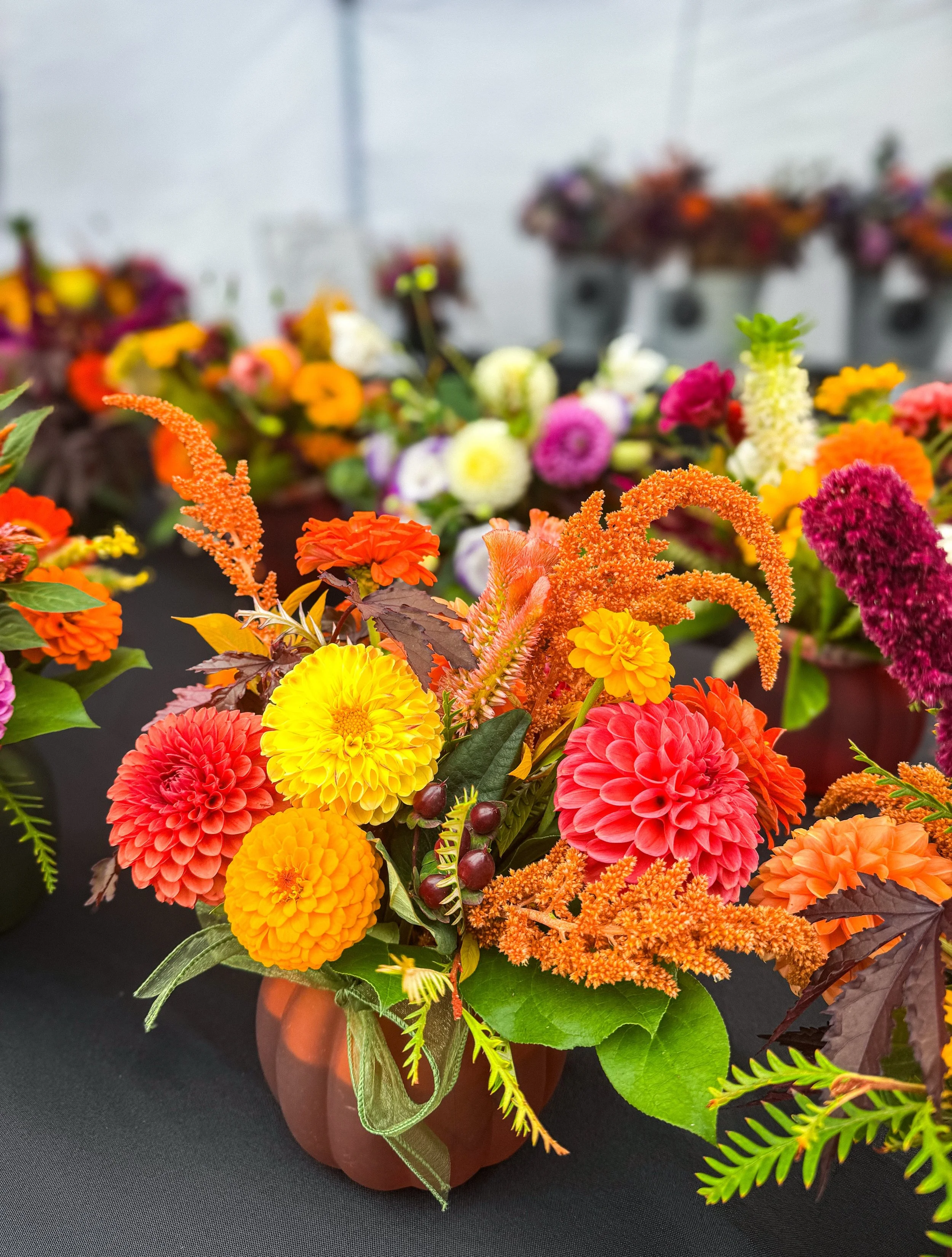 We are all set up at @luminarydistilling for the annual Fuhrman&rsquo;s Apple Cider Fest! 🍏🍎💐

Come check out tons of great vendors, eat some good food, and enjoy some live music! 11AM-5PM

8270 Peach St.

#ciderfest #locallygrownflowers #vendorma