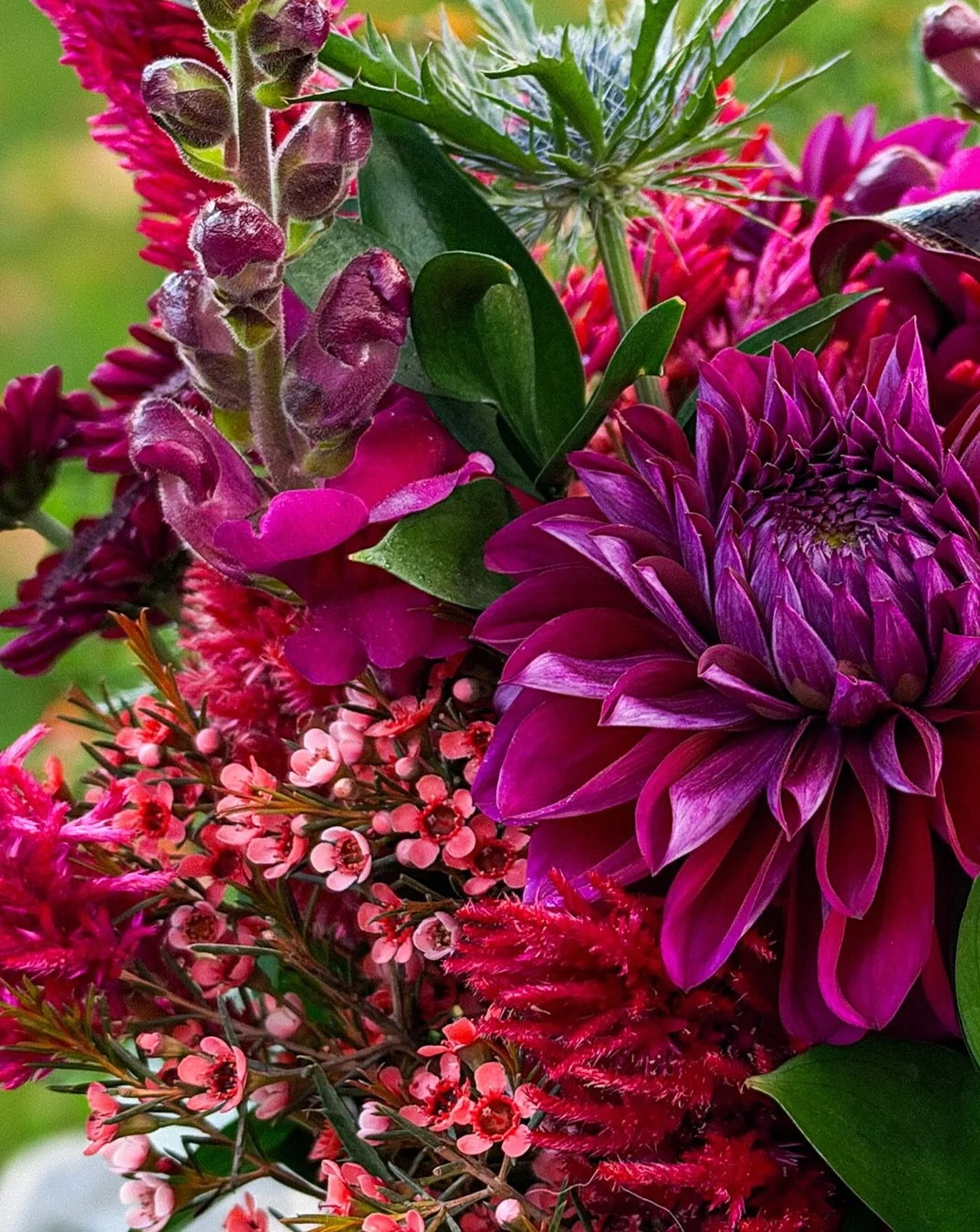 We came pretty close to the end of local flower season earlier this week.

Thankfully, frost missed us, and it looks like we have some more time. Based on the forecast, we&rsquo;re planning to keep The Studio open and stocked during regular hours for