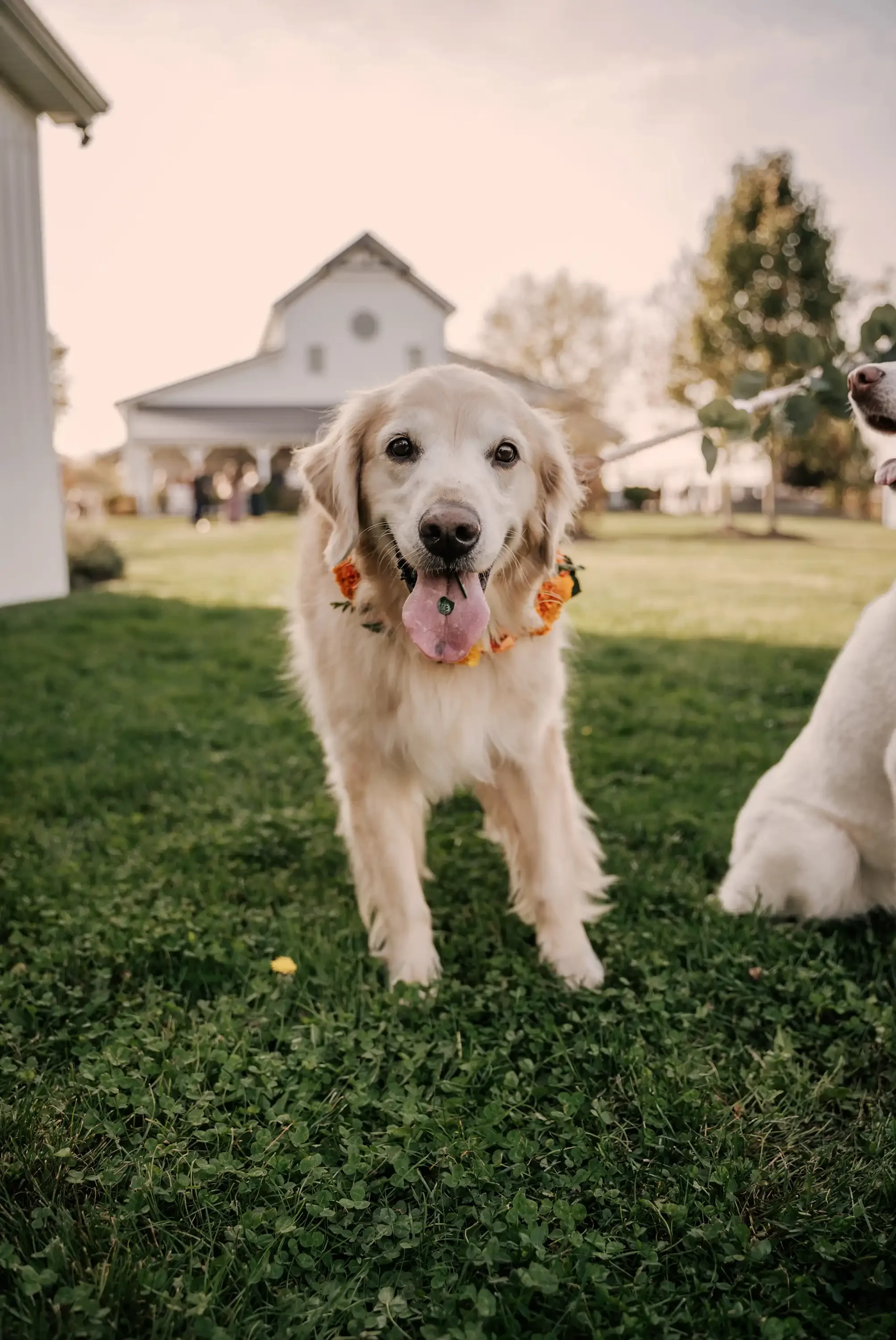 unique-wedding-florist-erie-pa.webp