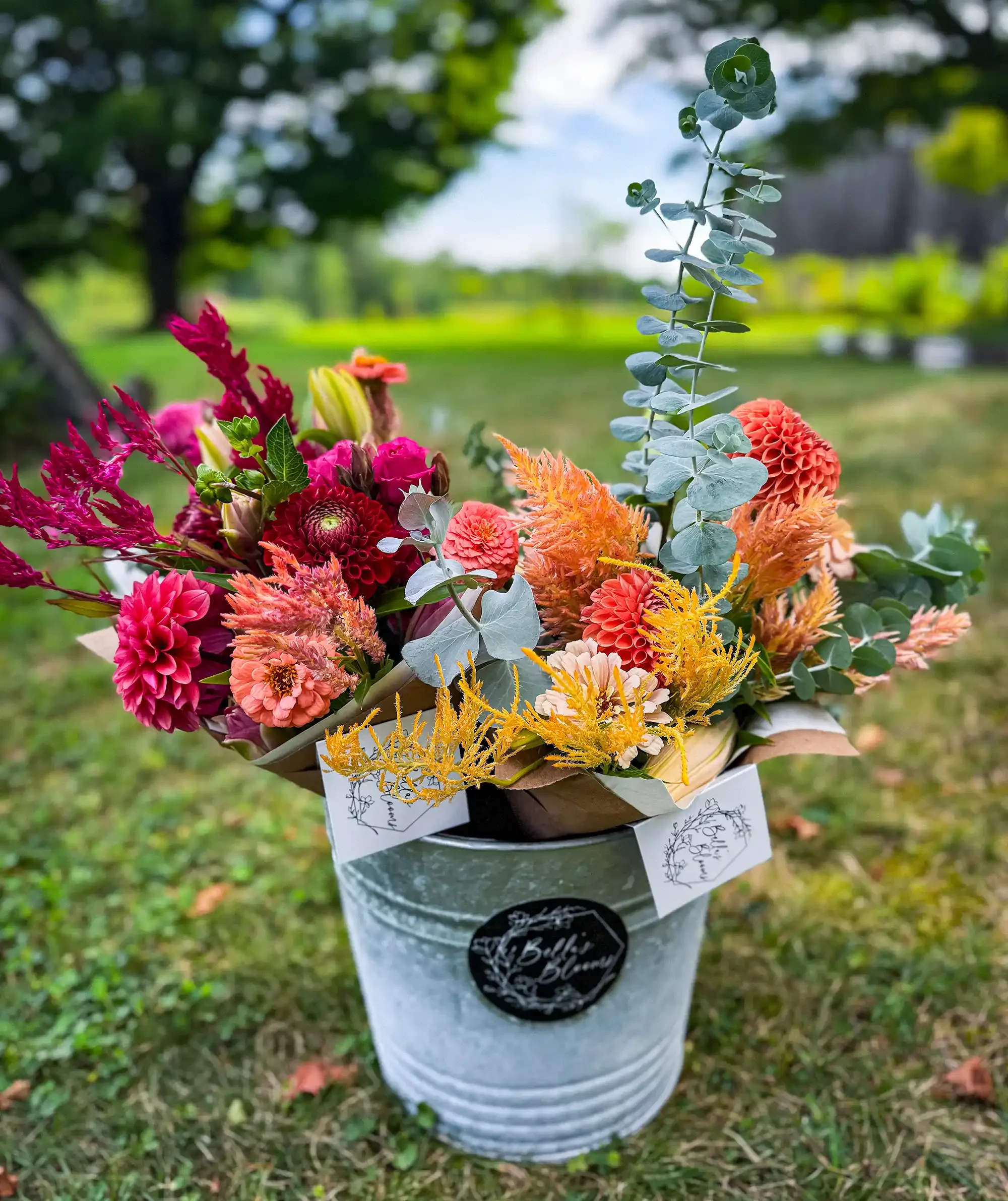 Sunset Collection CSA (Summer/Fall)