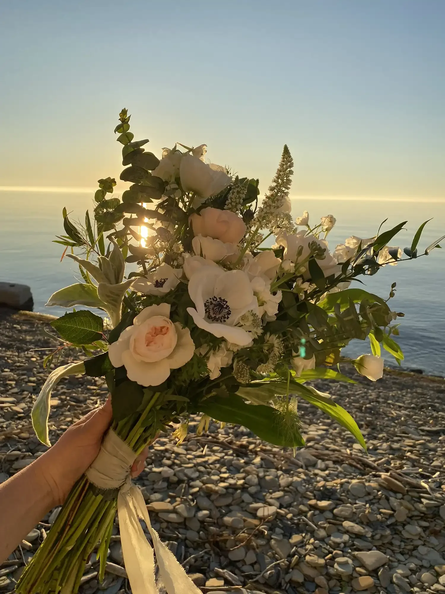 flowers-erie-pa-premier.webp