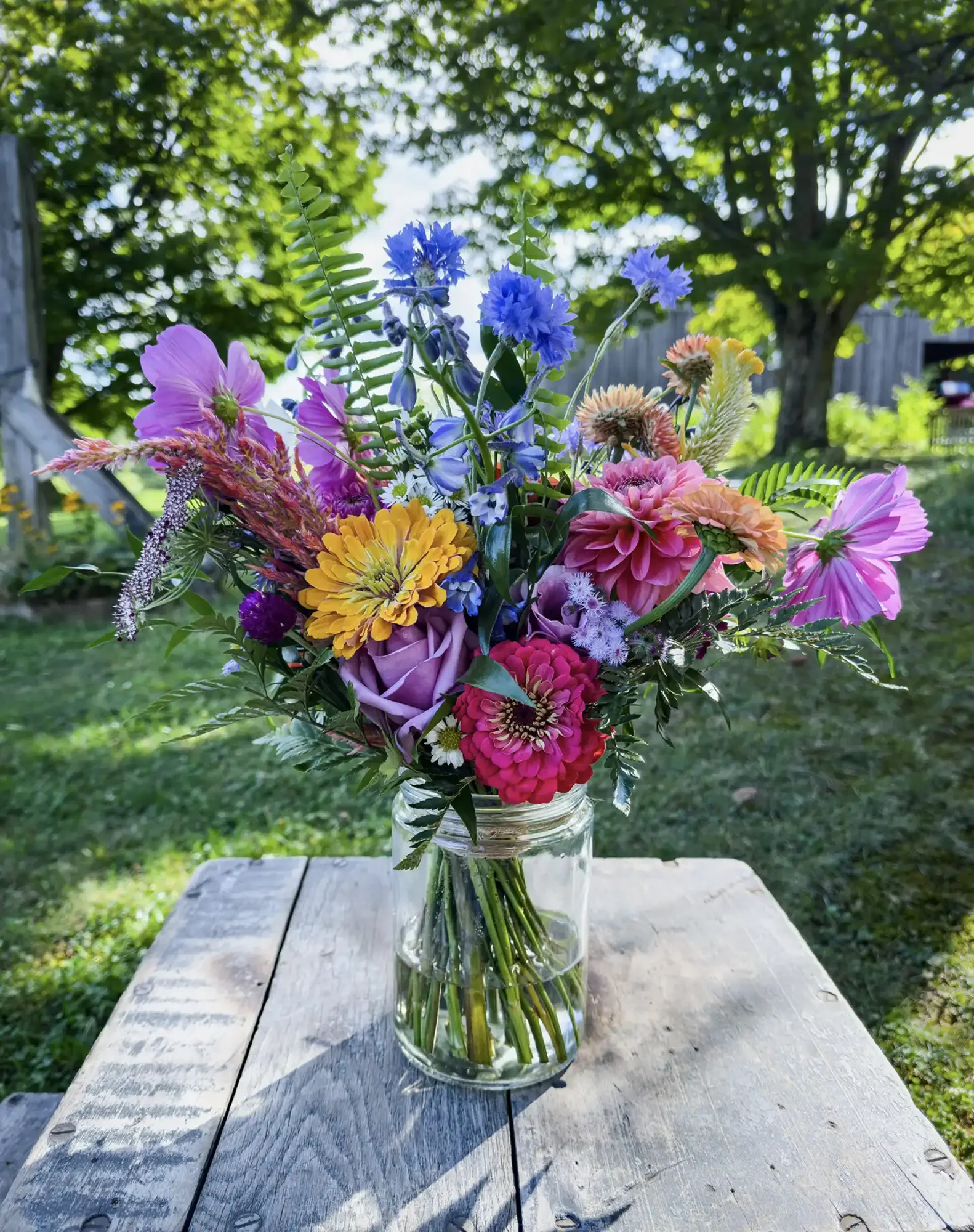 flower-farm-florist-erie-pa.webp