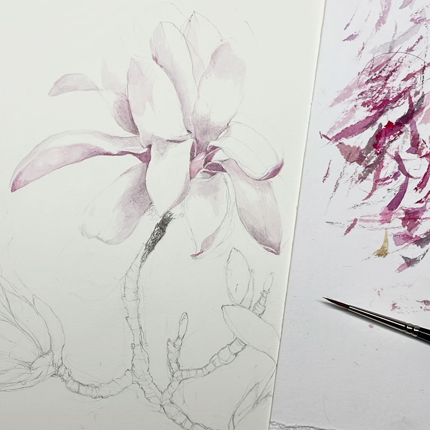Magnolia on my desk today! #wip #commission #magnolia