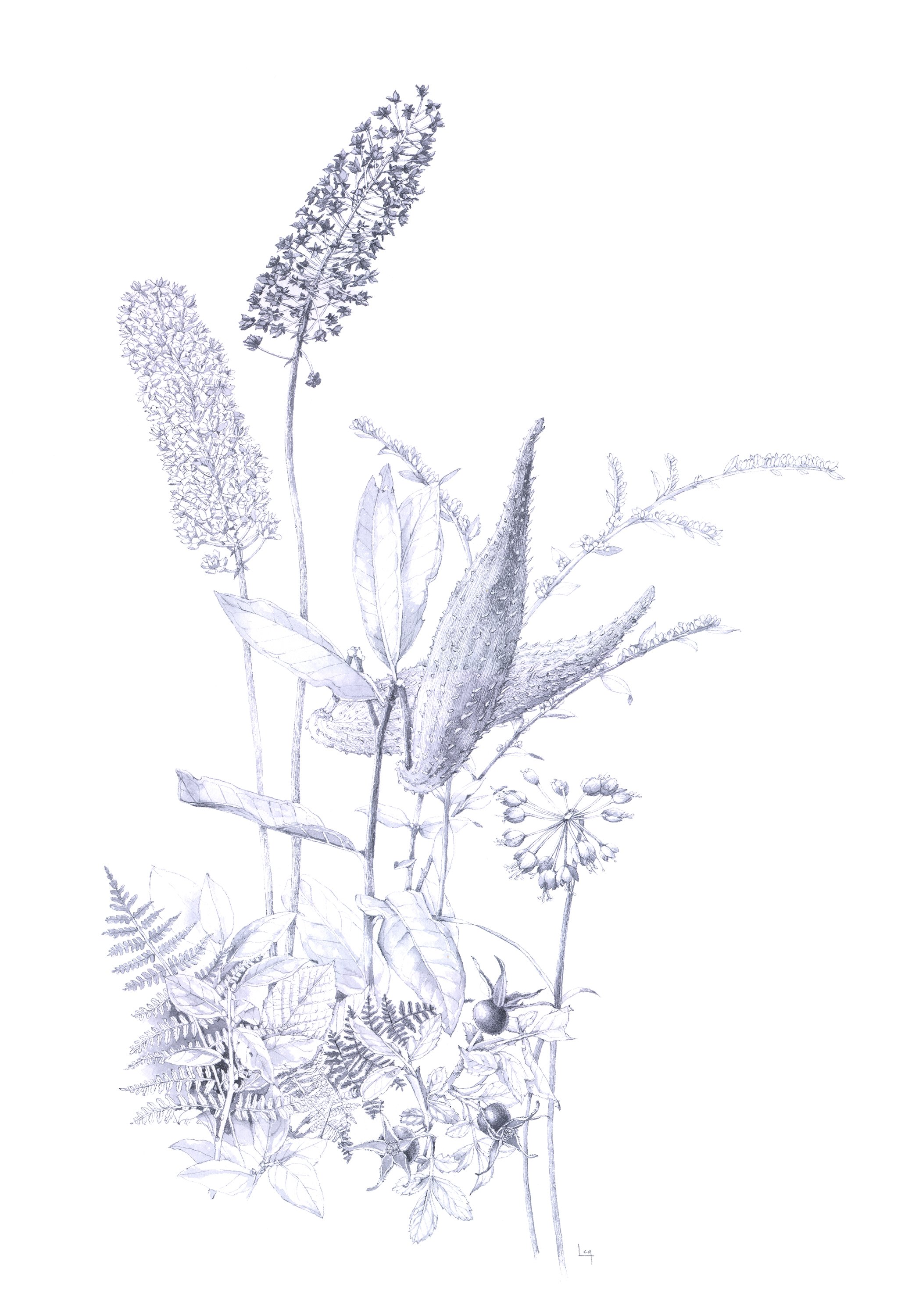 BigMeadows.Gastinger.jpg