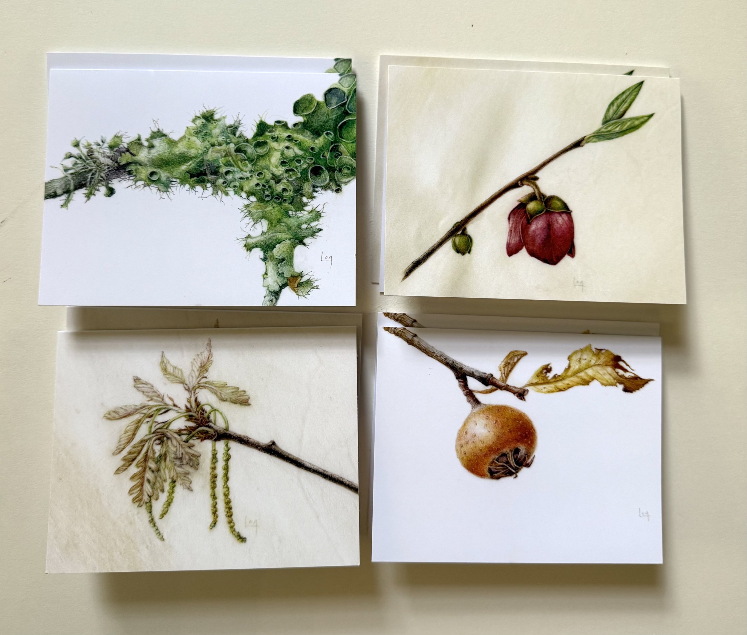 From the Trees - Card Set