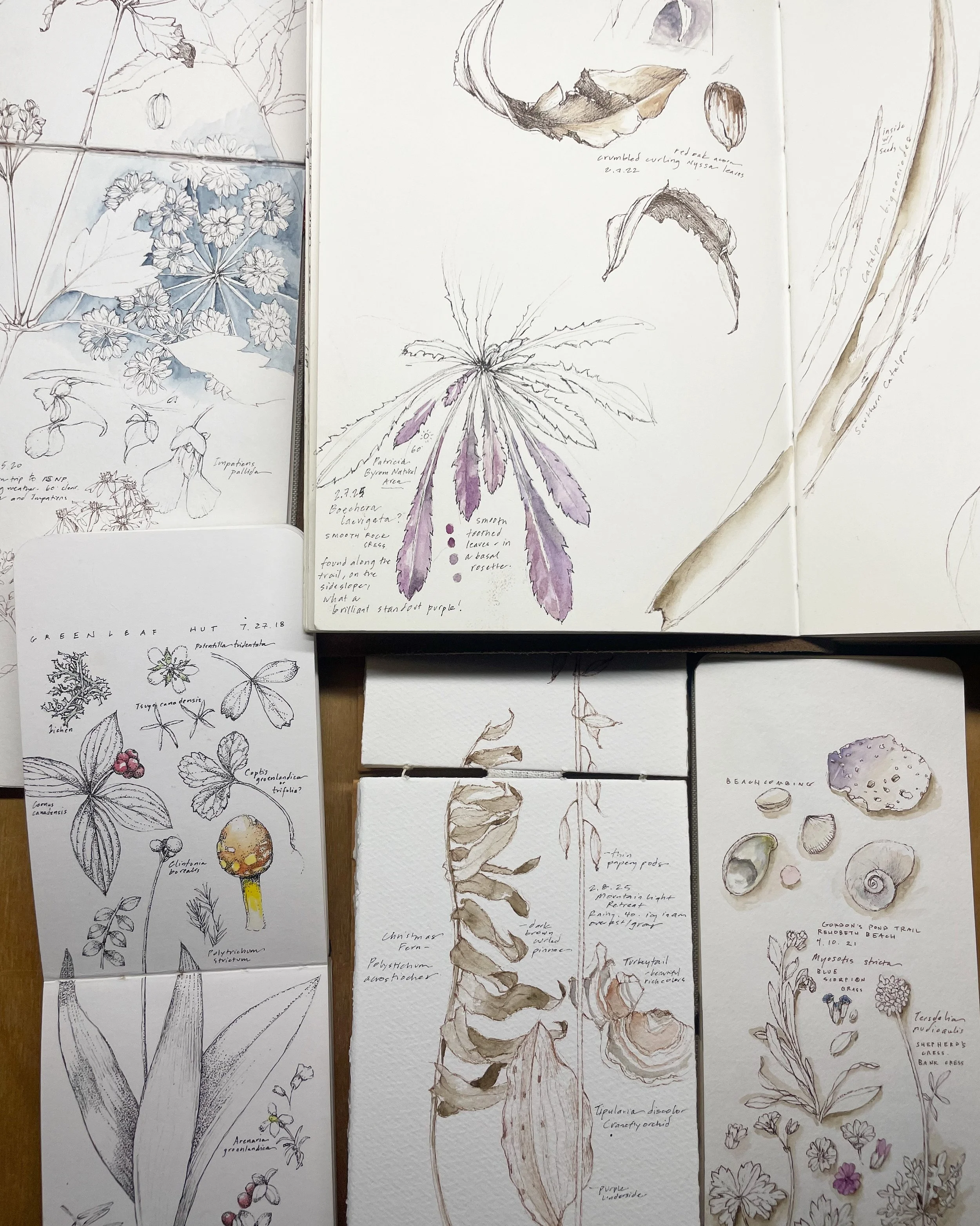 Sketchbook.JPG