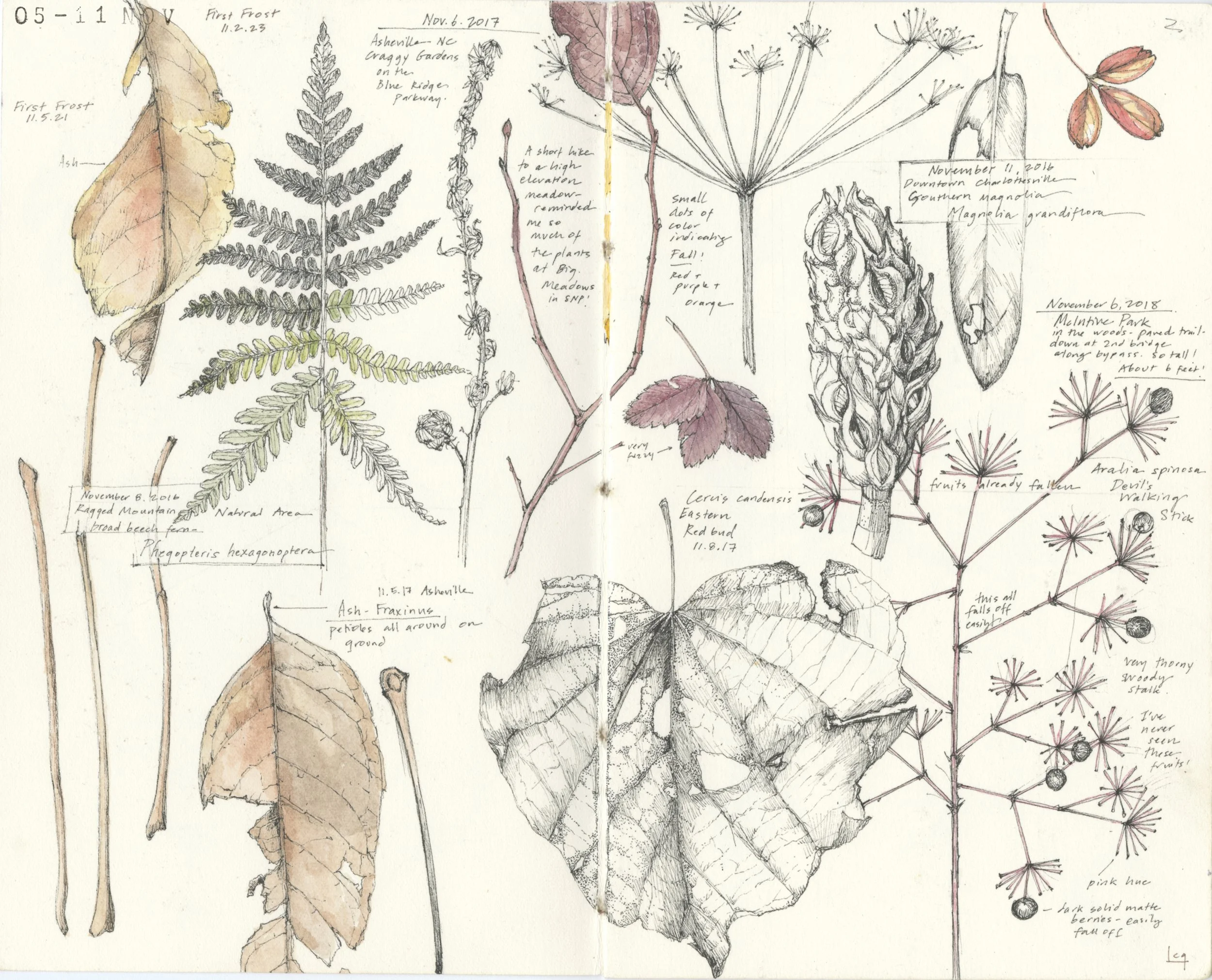 LCGSketchbook.jpg
