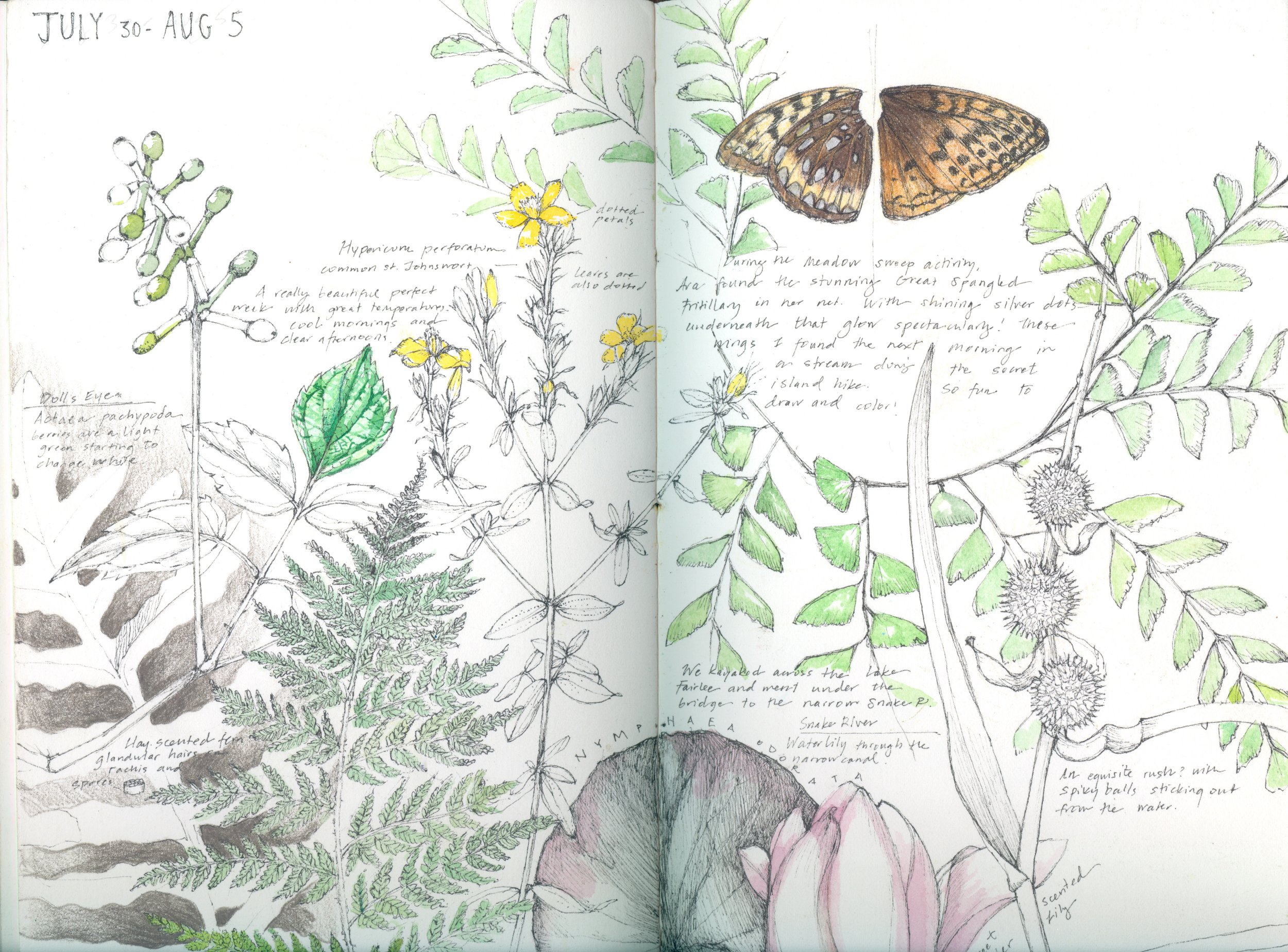 Sketchbook.JulyAugust 1.jpeg