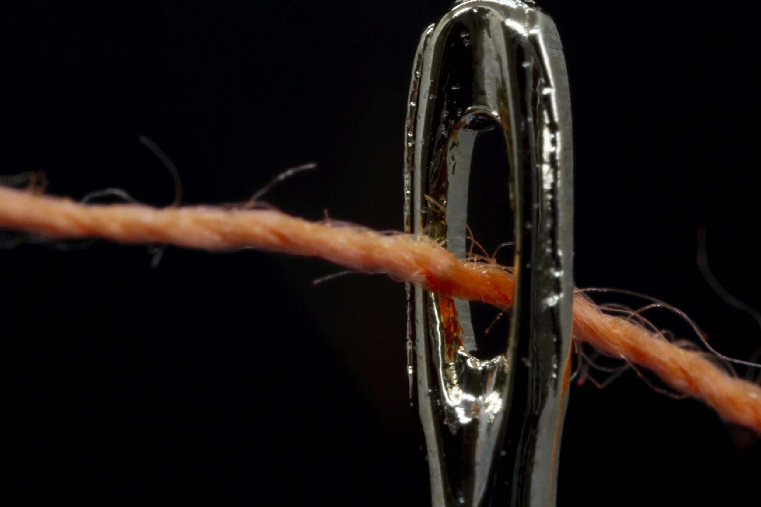 The Thread My Body Remembers 
